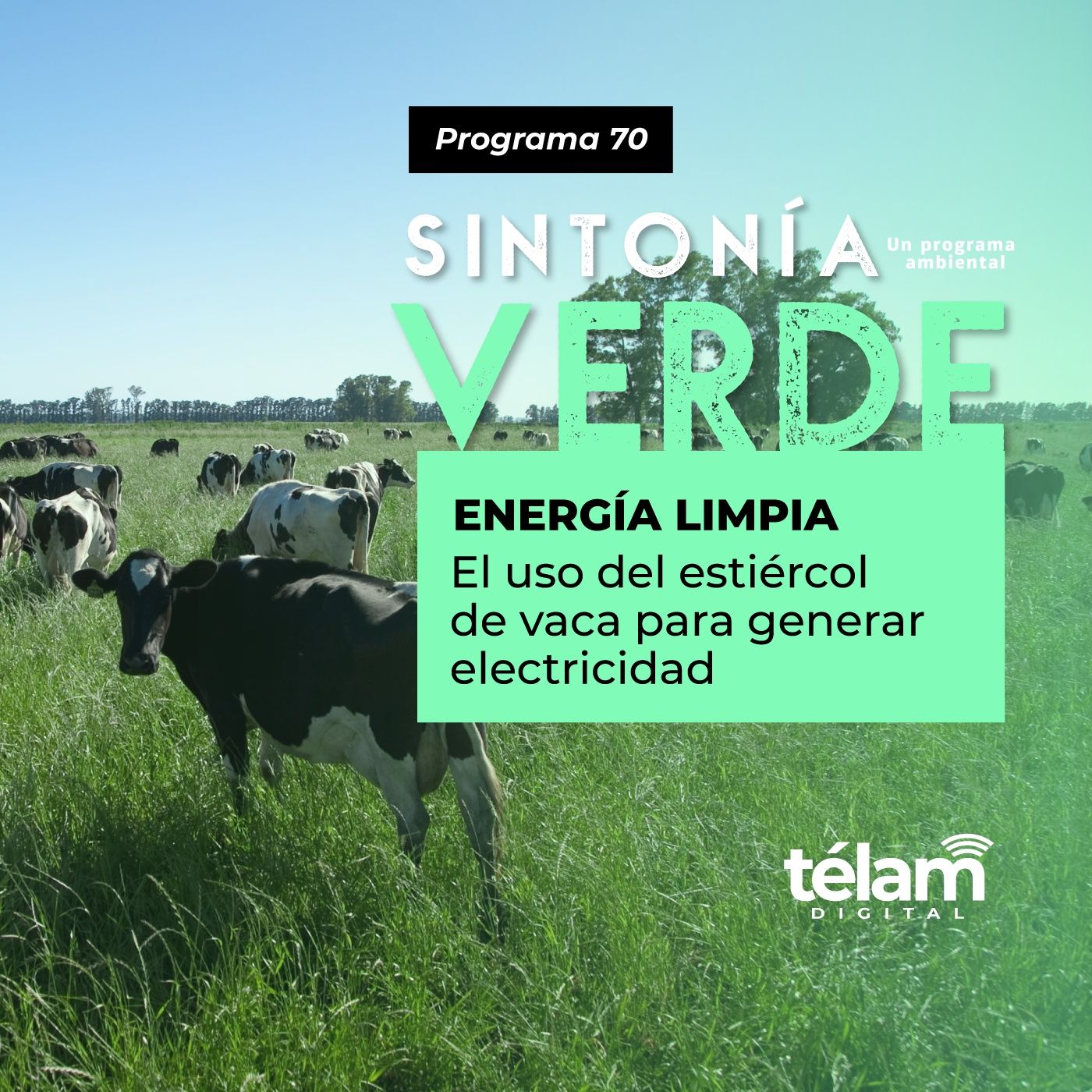 cover of episode Energía Limpia: El uso del estiércol de vaca para generar electricidad