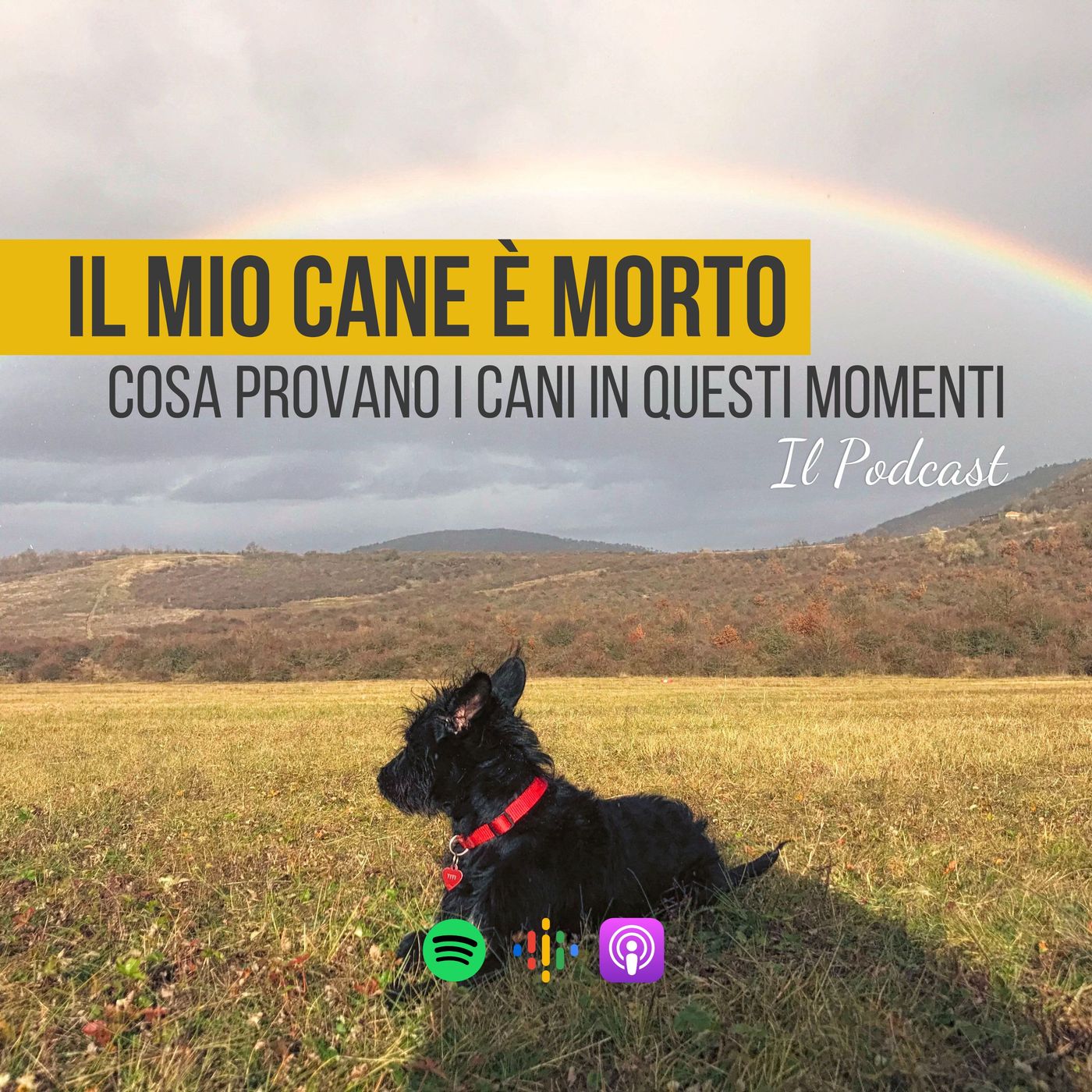 Dog Cafe Podcast