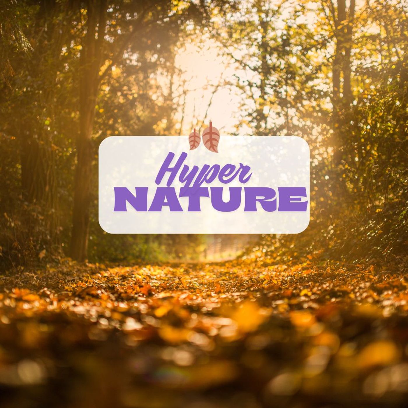 Hyper Nature