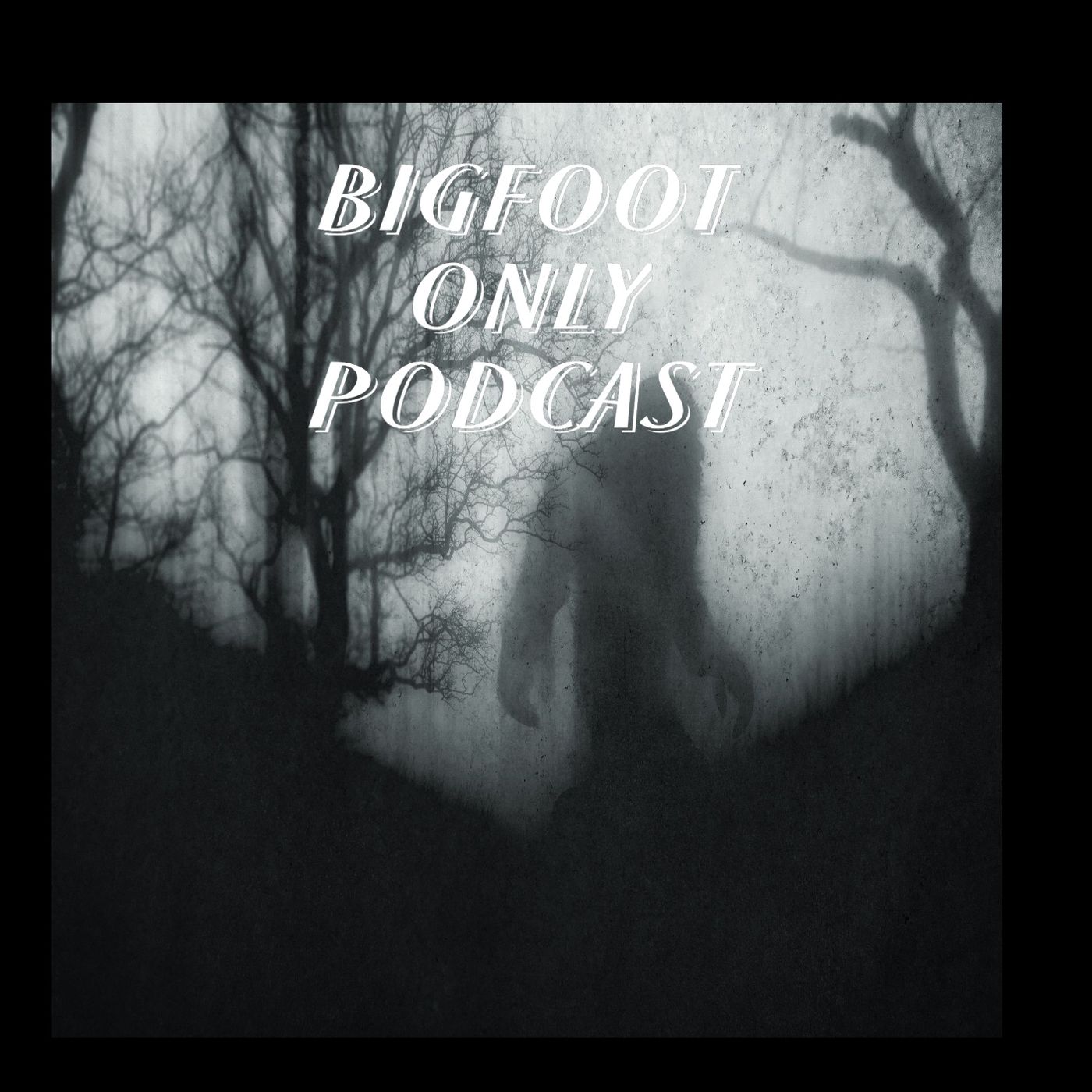 We talk about all things paranormal. Hauntings, UFOS, Bigfoot Dogman and more paranormal activity.