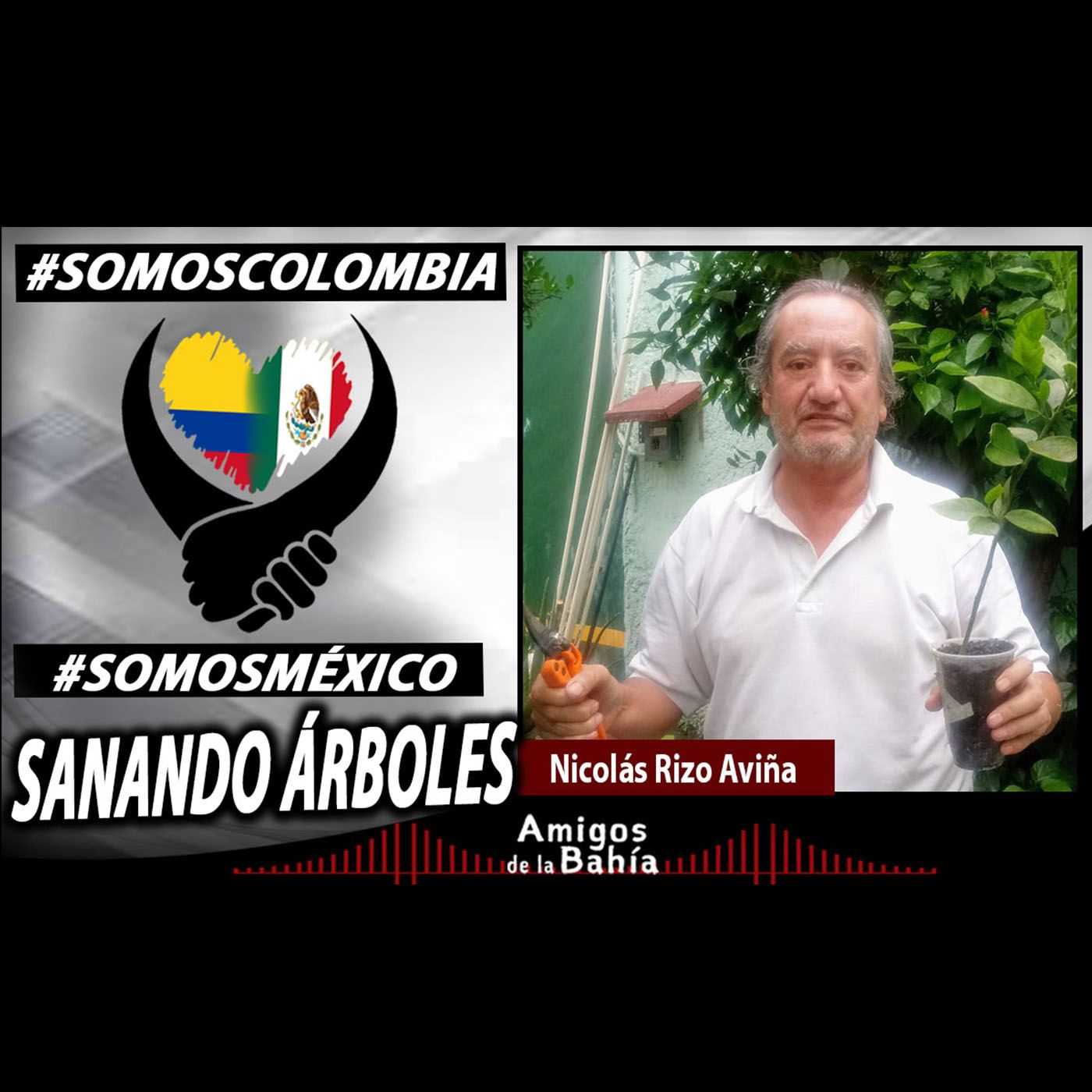 Amigos de la Bahía