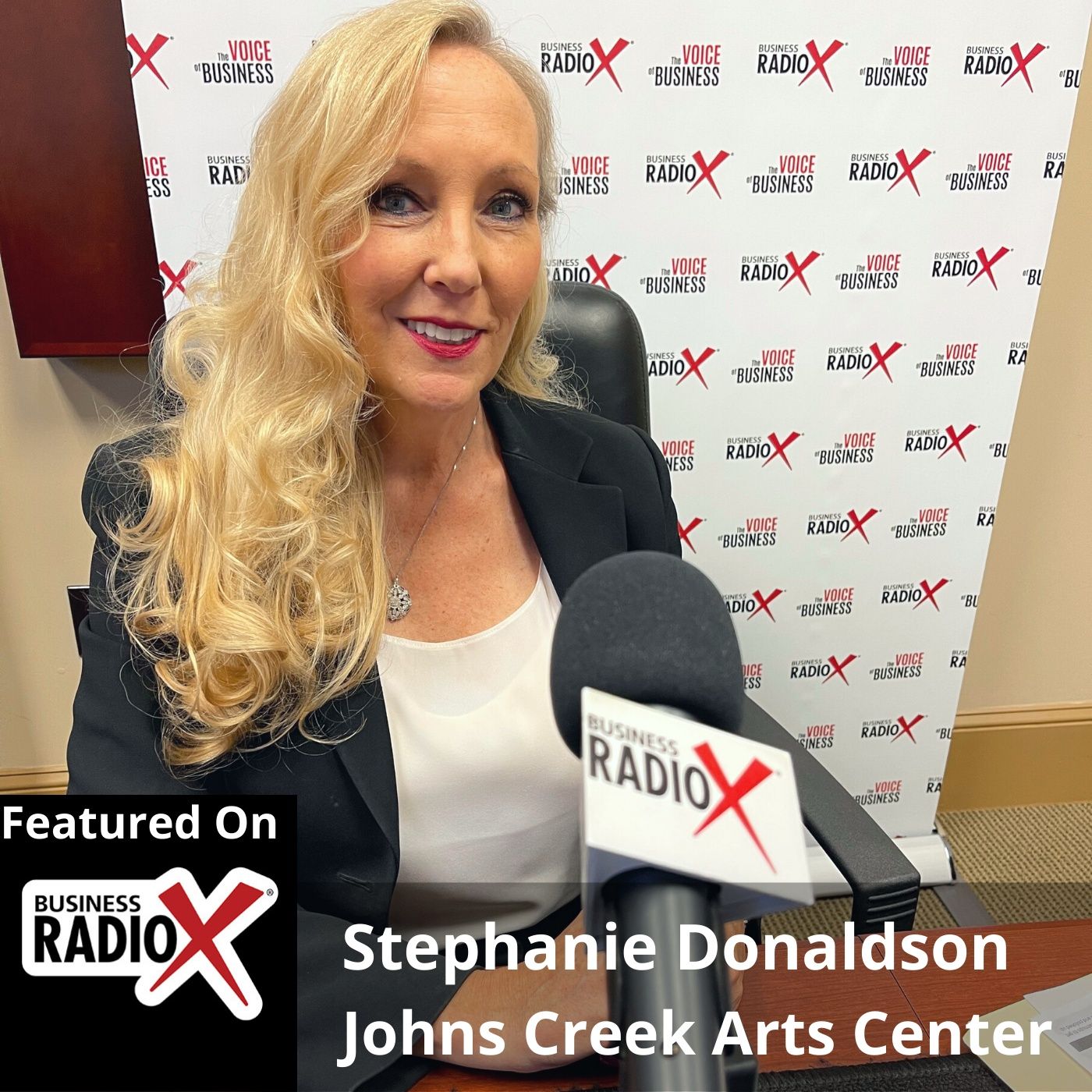 Stephanie Donaldson, Johns Creek Arts Center episode artwork