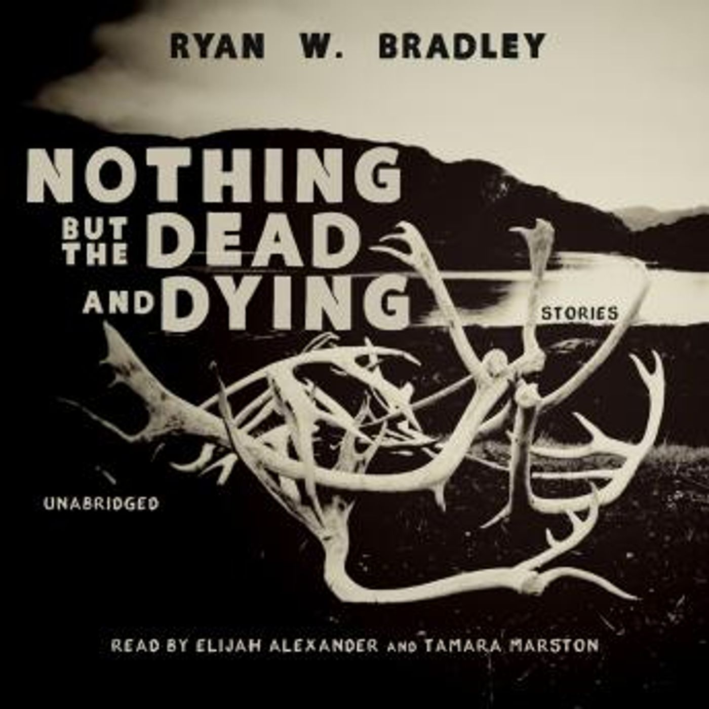 Grab the Top Full Audiobooks in Literature, Short Stories