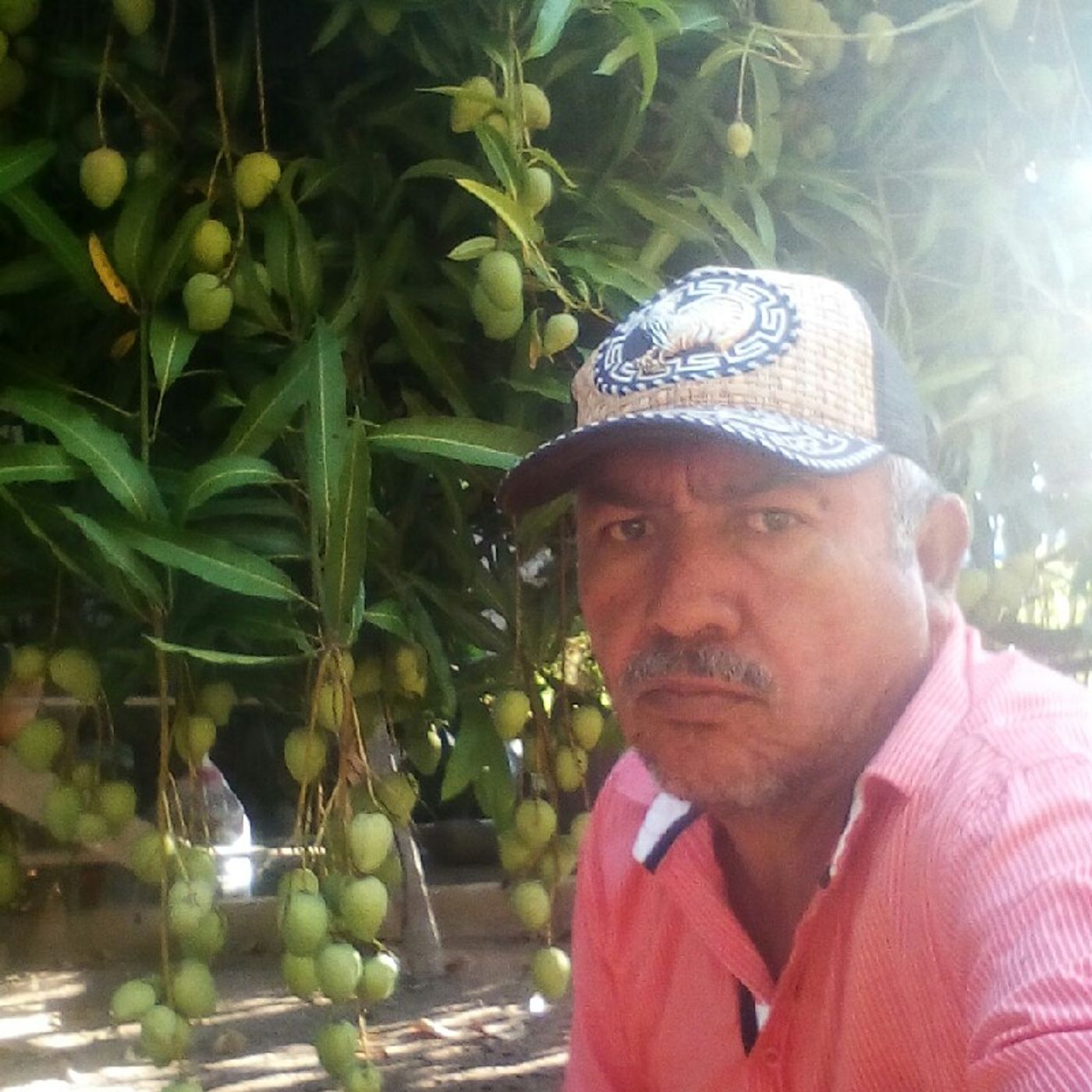El podcast de Martin Guitron Fregoso