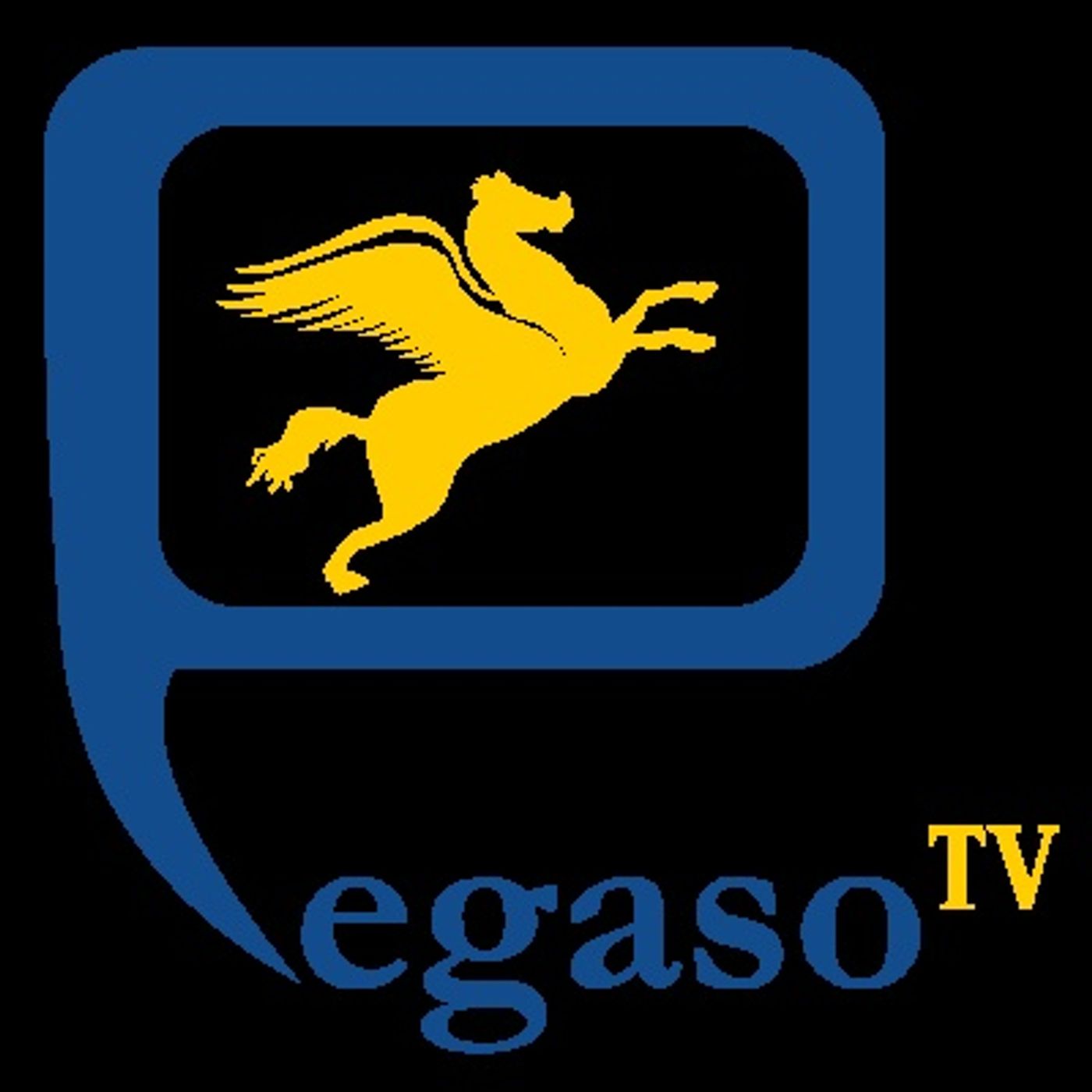 Tracce di PEGASO TV