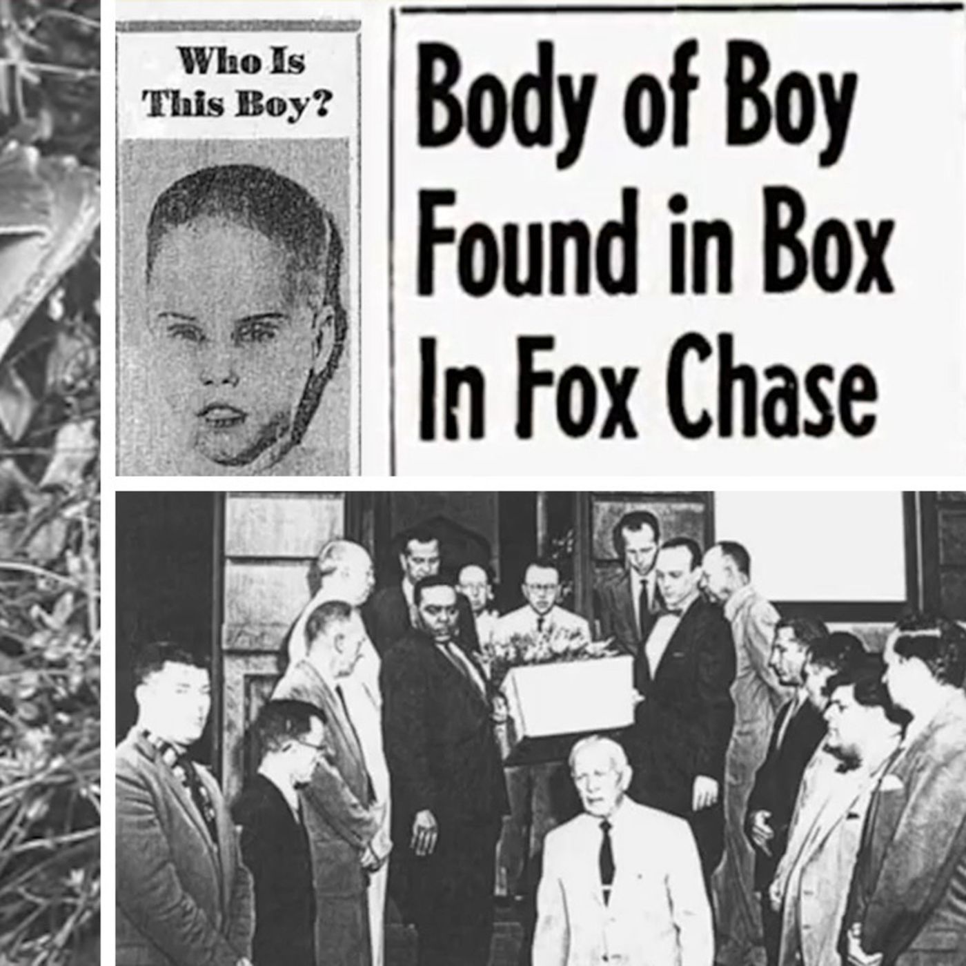 Breaking News! Dark Truth Behind 