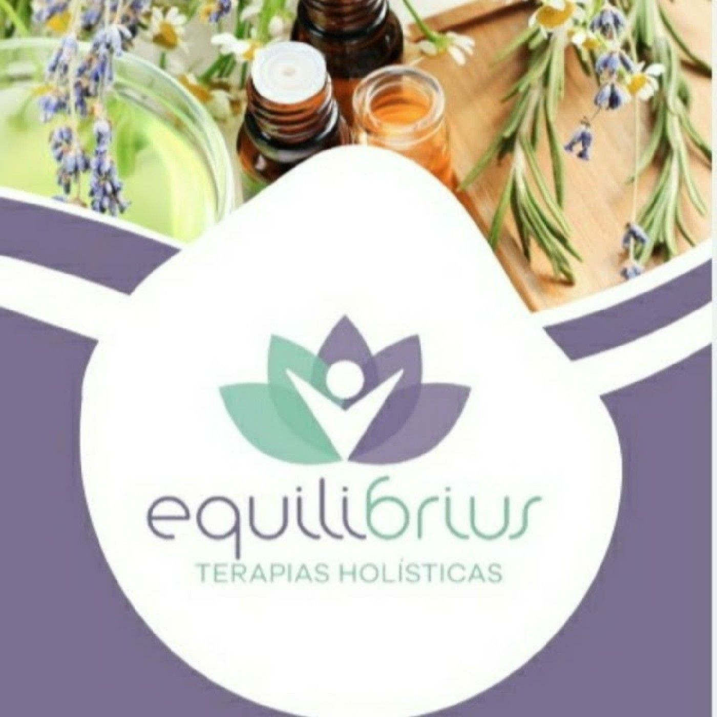 A Saúde através Das Plantas Medicinais