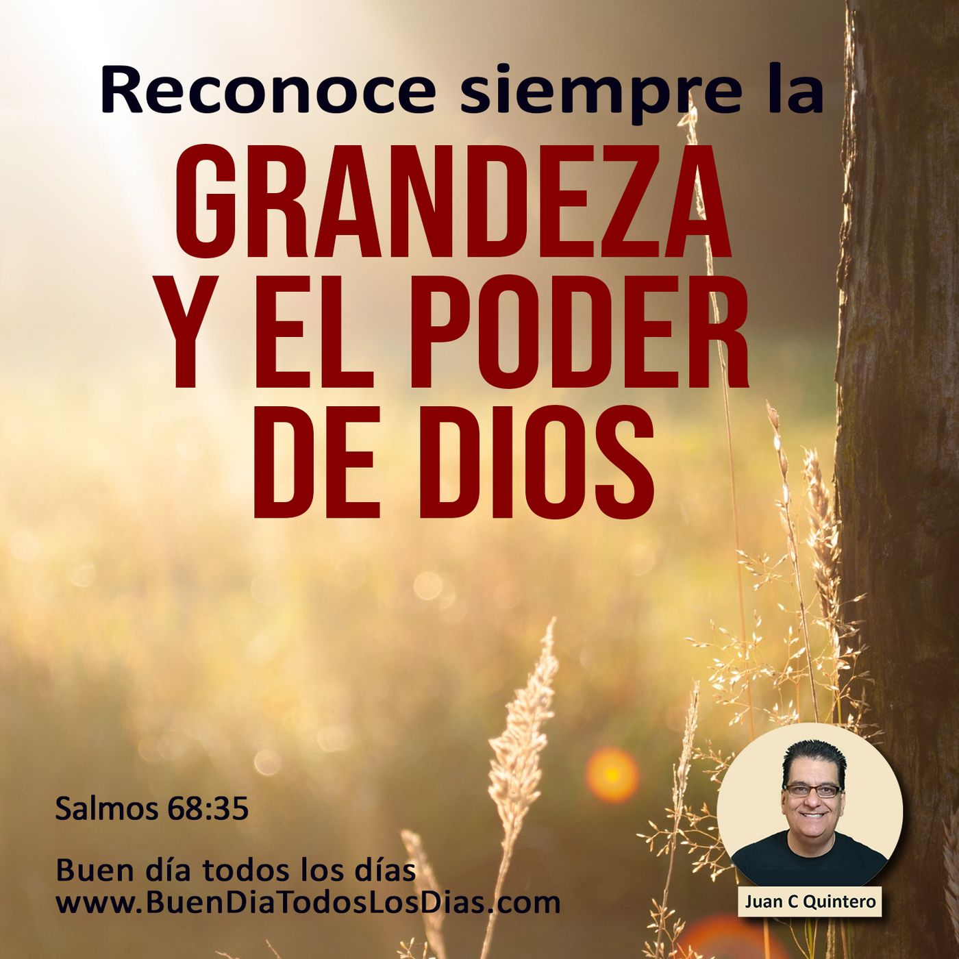 Buen Dia Todos Los Dias