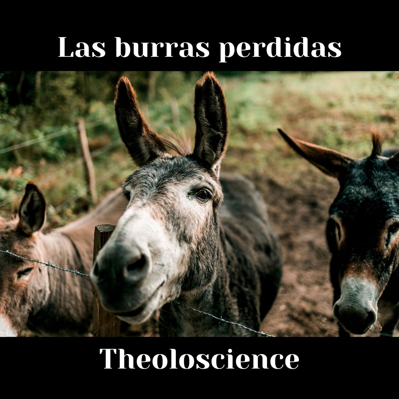 Las Burras Perdidas episode artwork