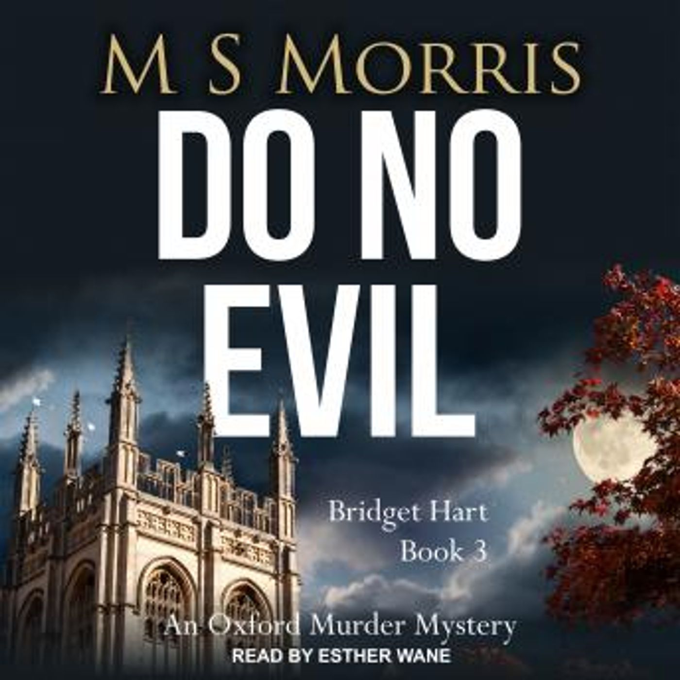 Do No Evil: An Oxford Murder Mystery by M S Morris episode artwork