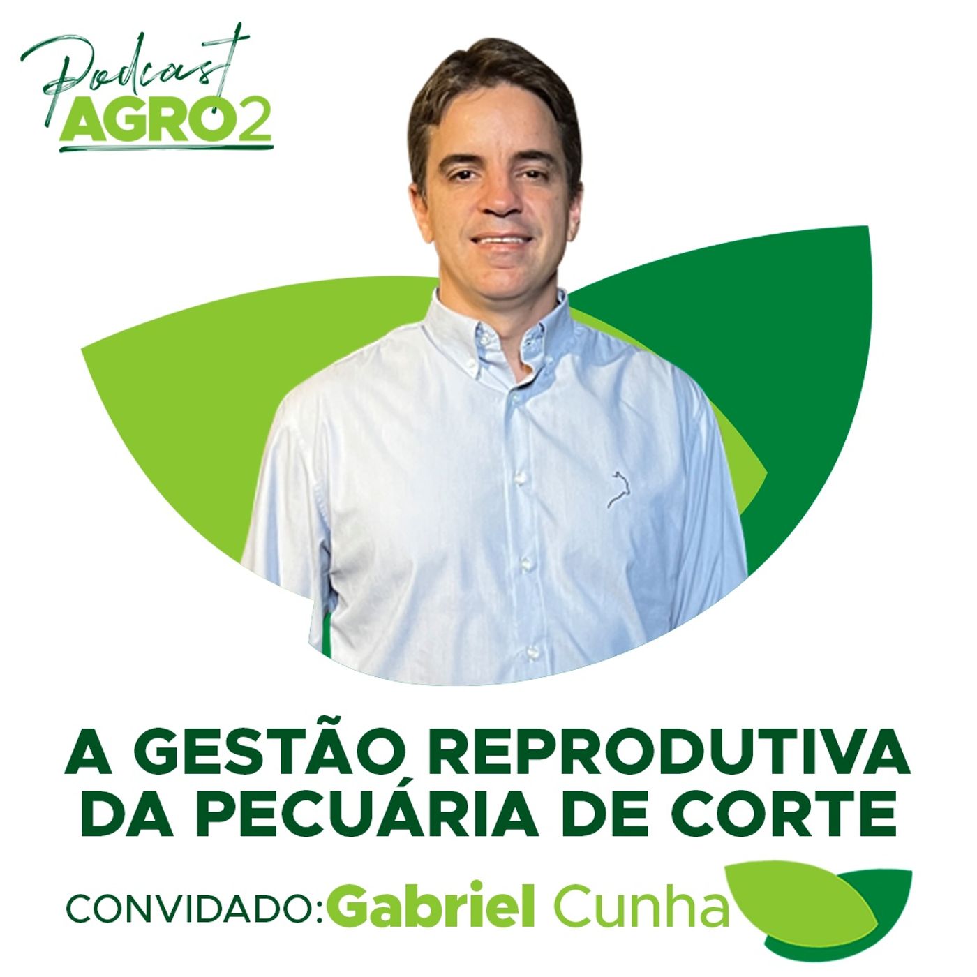 Como fazer a gestão reprodutiva da pecuária de corte para garantir eficiência e produtividade #189 episode artwork