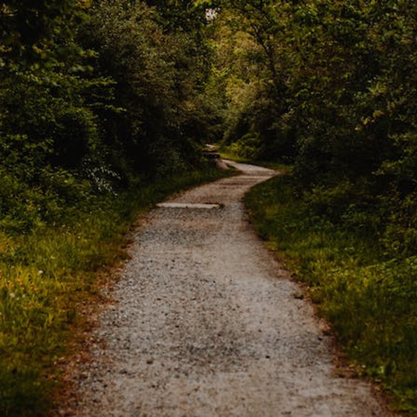 Pray Your Way into Thanksgiving