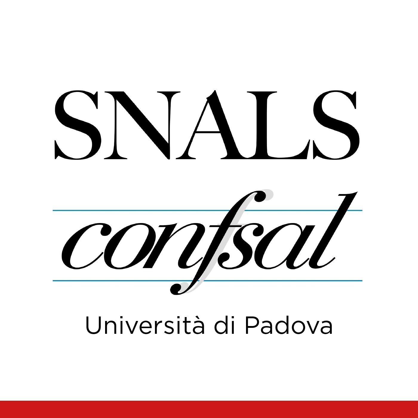 Comunicati SNALS Unipd cover art