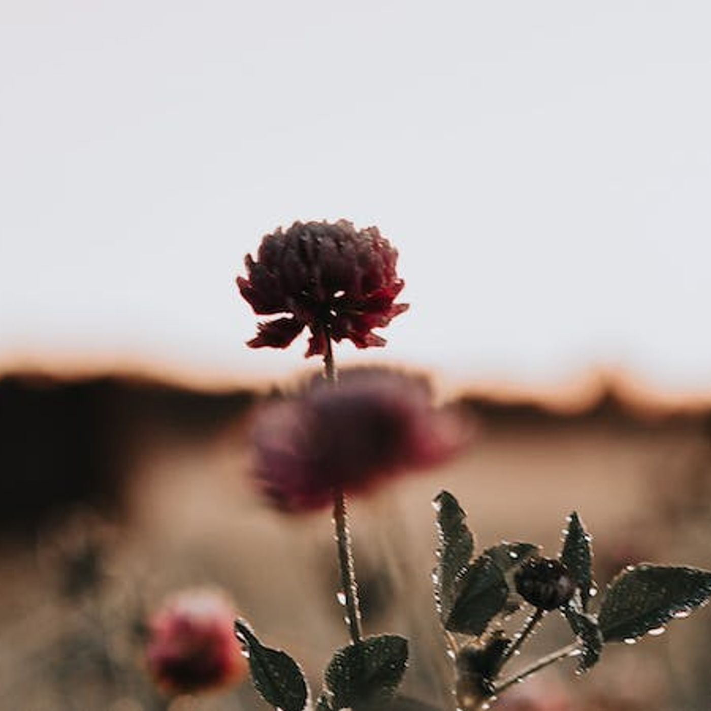 How Did God Call Me to Himself?