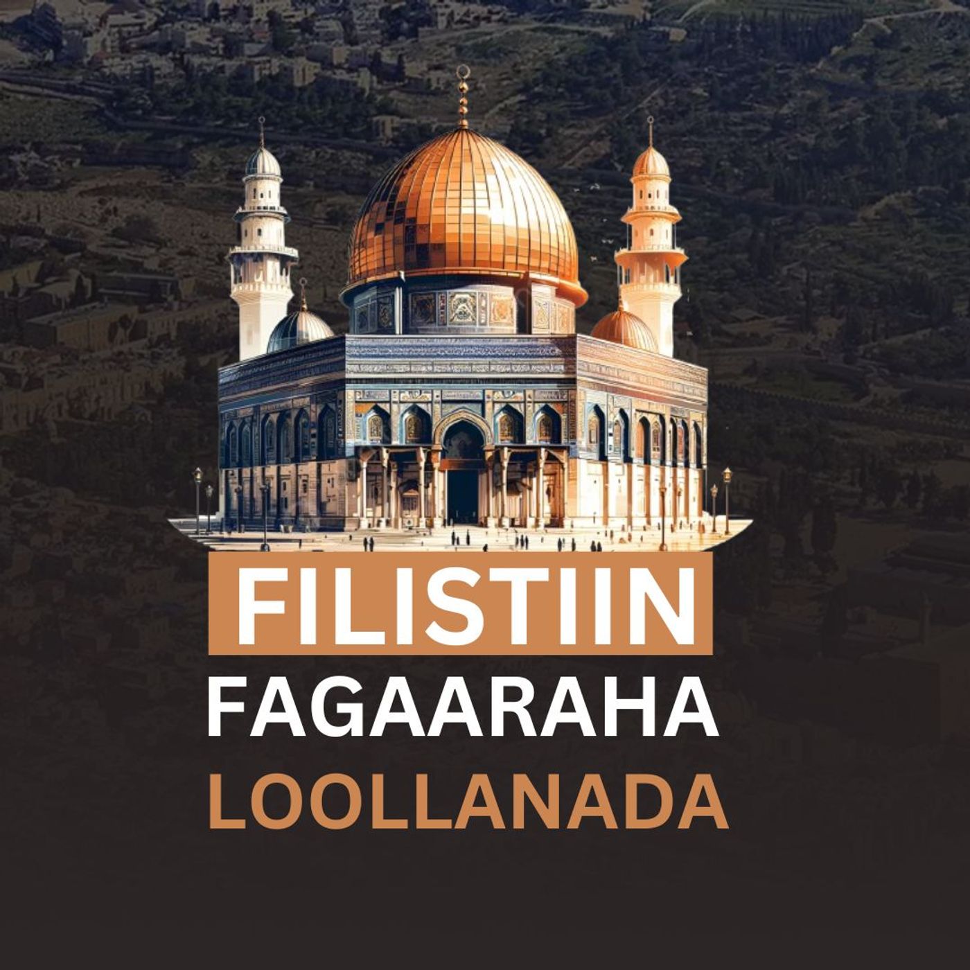 Filistiin Fagaaraha Loollanada [05] episode artwork