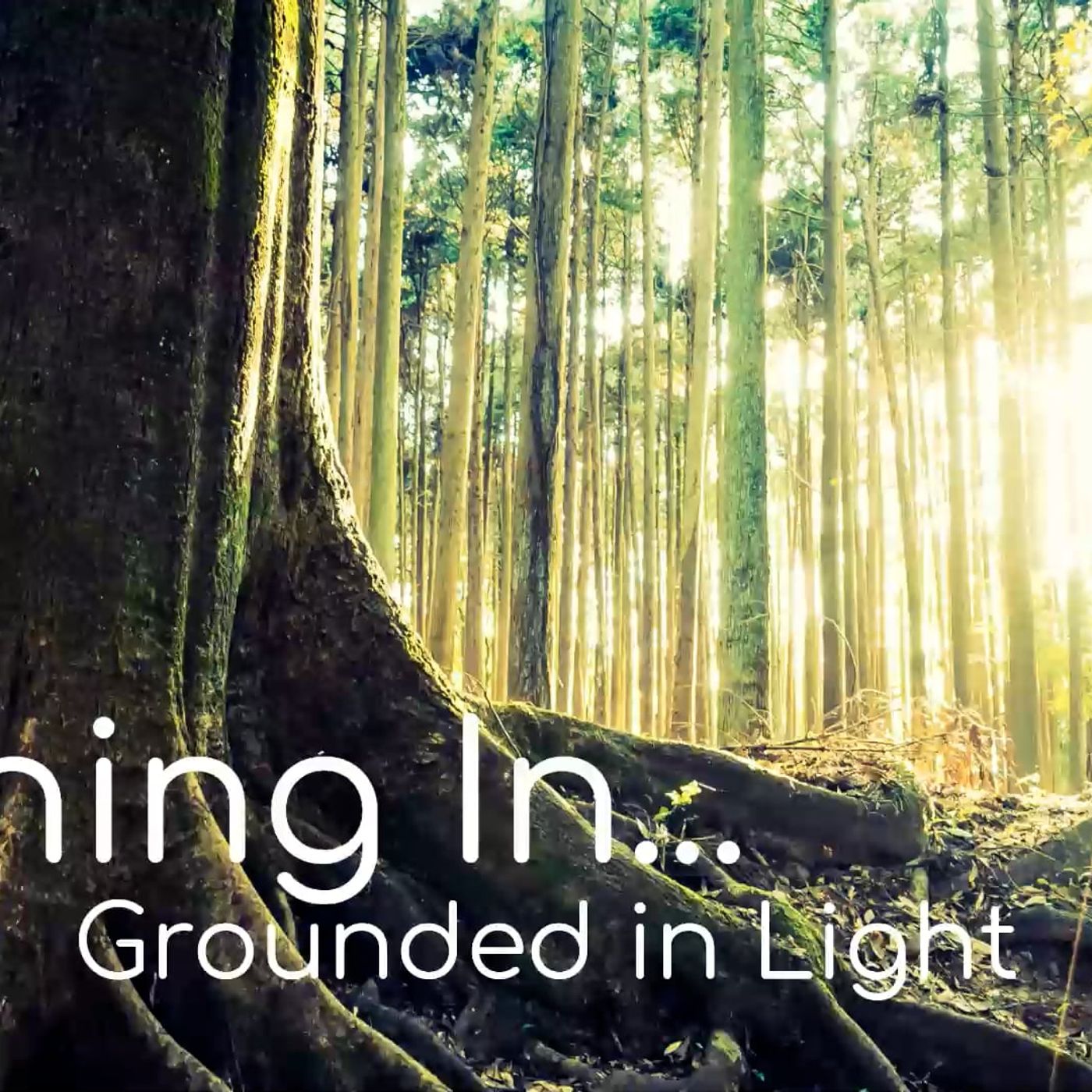 Tuning In...Grounded in Light