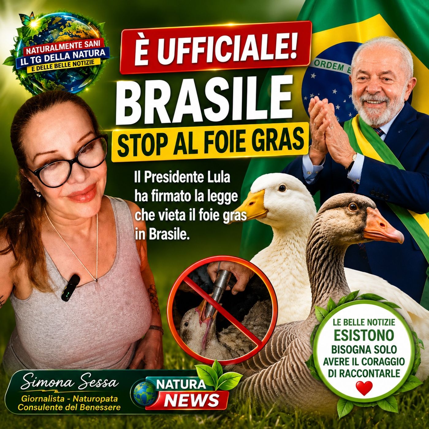 TG della Natura: Brasile, stop al foie gras: firmata la legge che vieta una delle pratiche più crudeli contro anatre e oche episode artwork