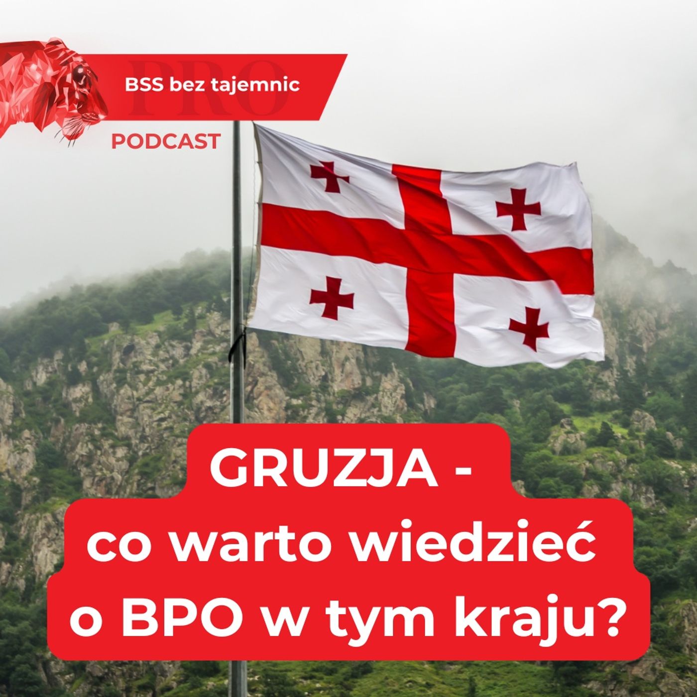 BSS bez tajemnic