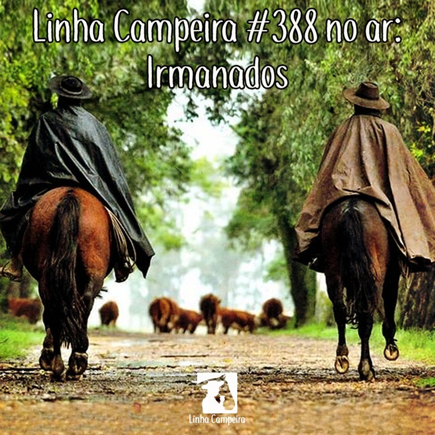 Linha Campeira