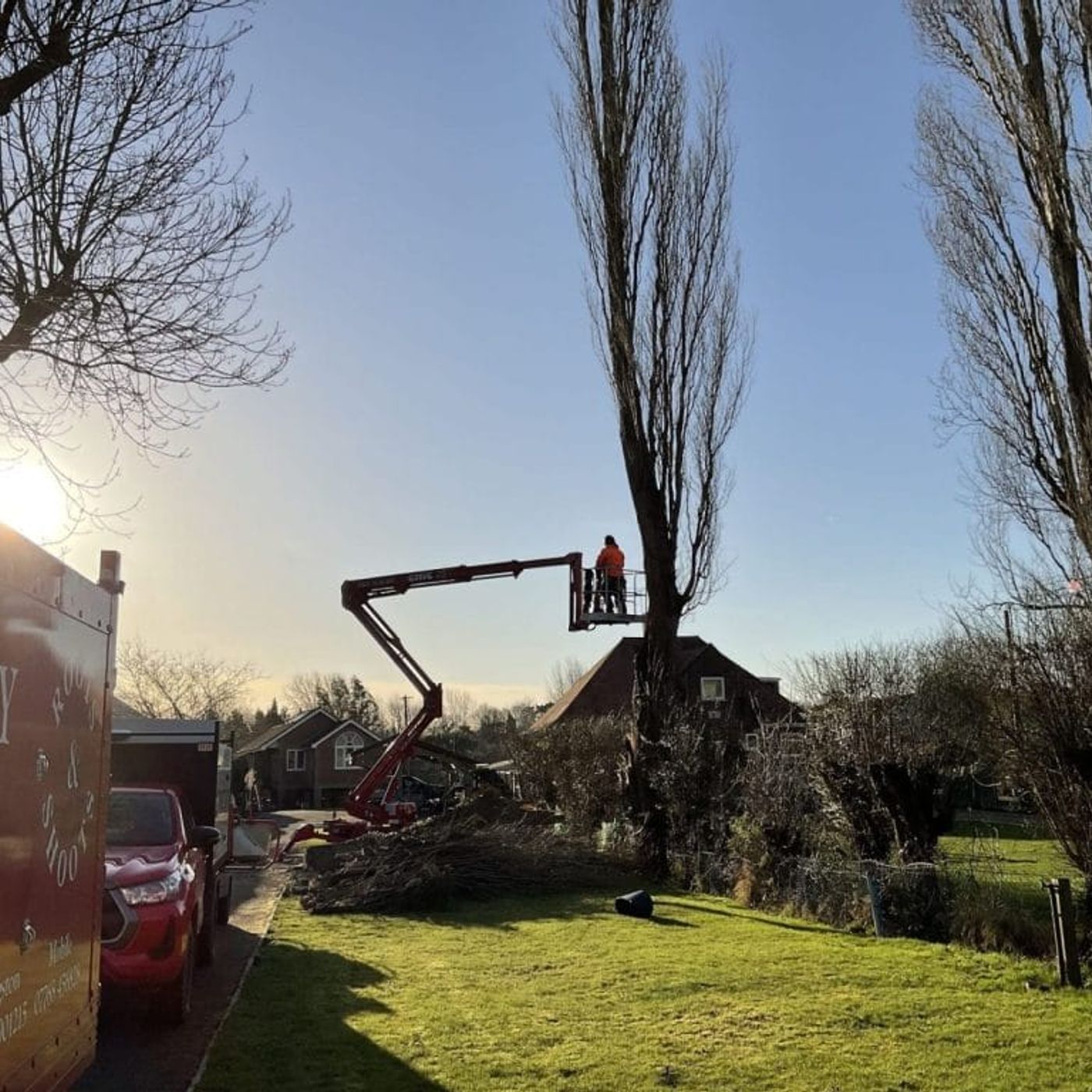 Can a Tree be saved after Storm Damage A Tree Surgeon Explains episode artwork