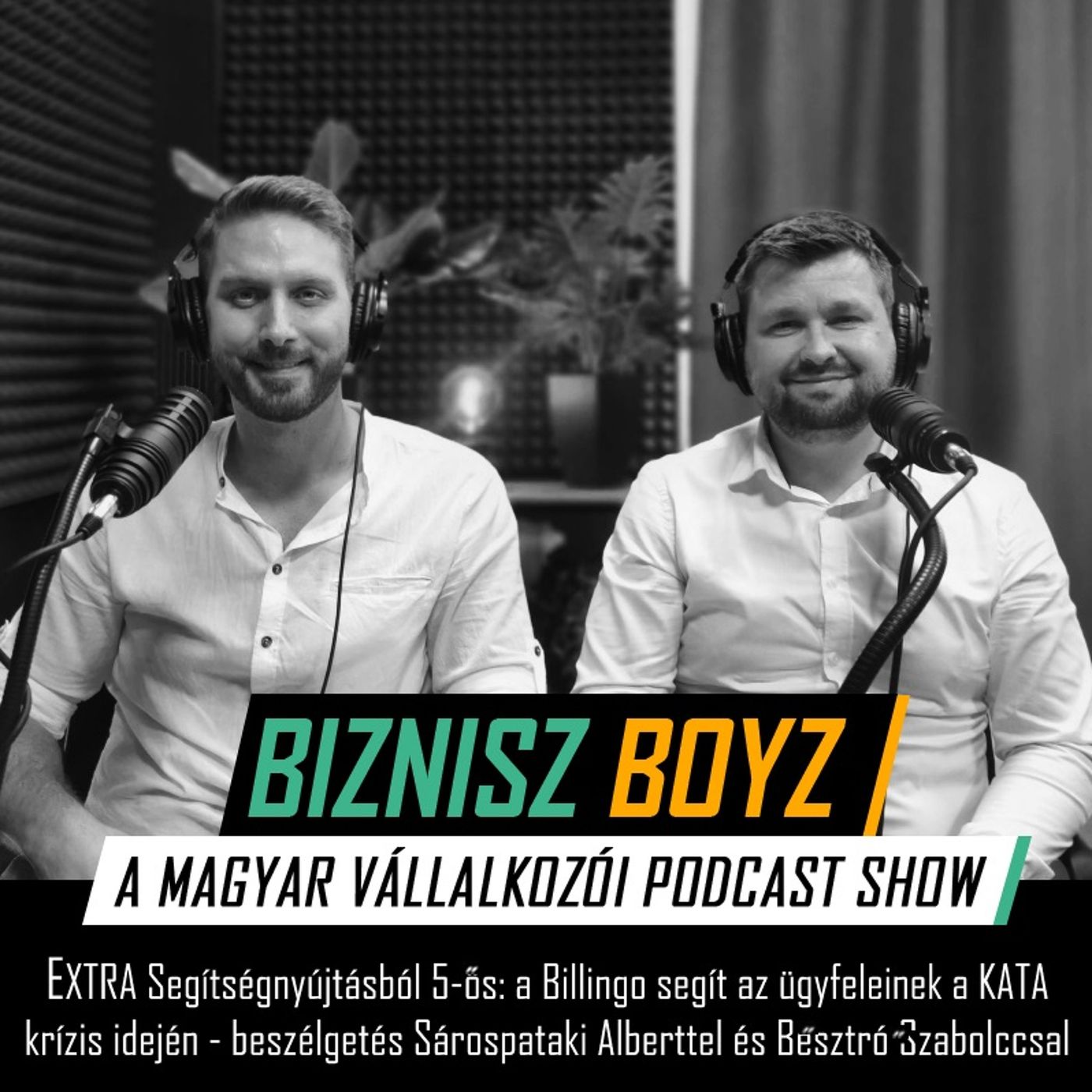 Biznisz Boyz: A magyar vállalkozói podcast show