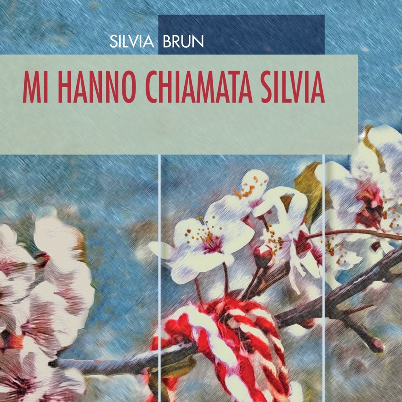 Silvia Brun "Mi hanno chiamata Silvia" episode artwork