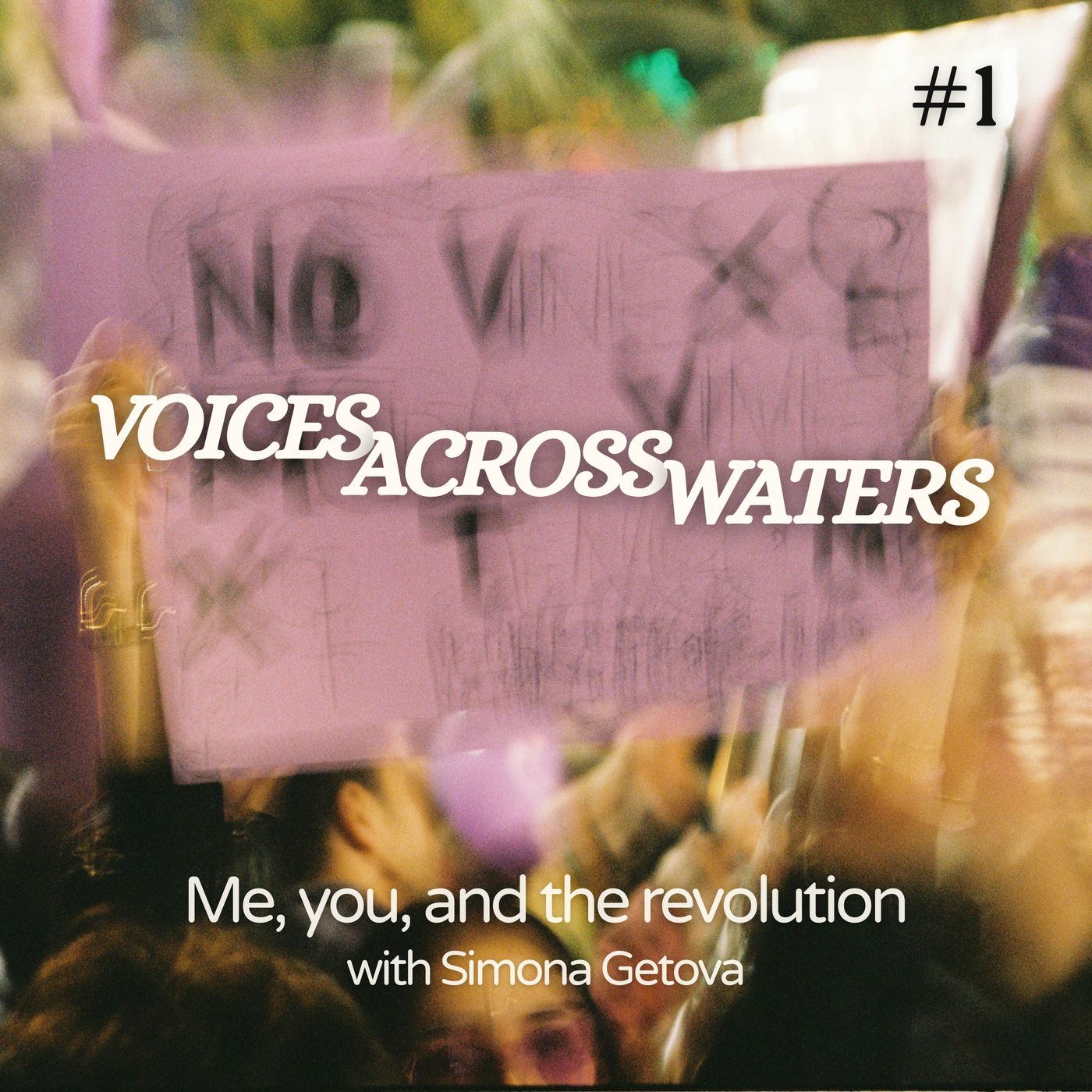 Me, you, and the revolution episode artwork