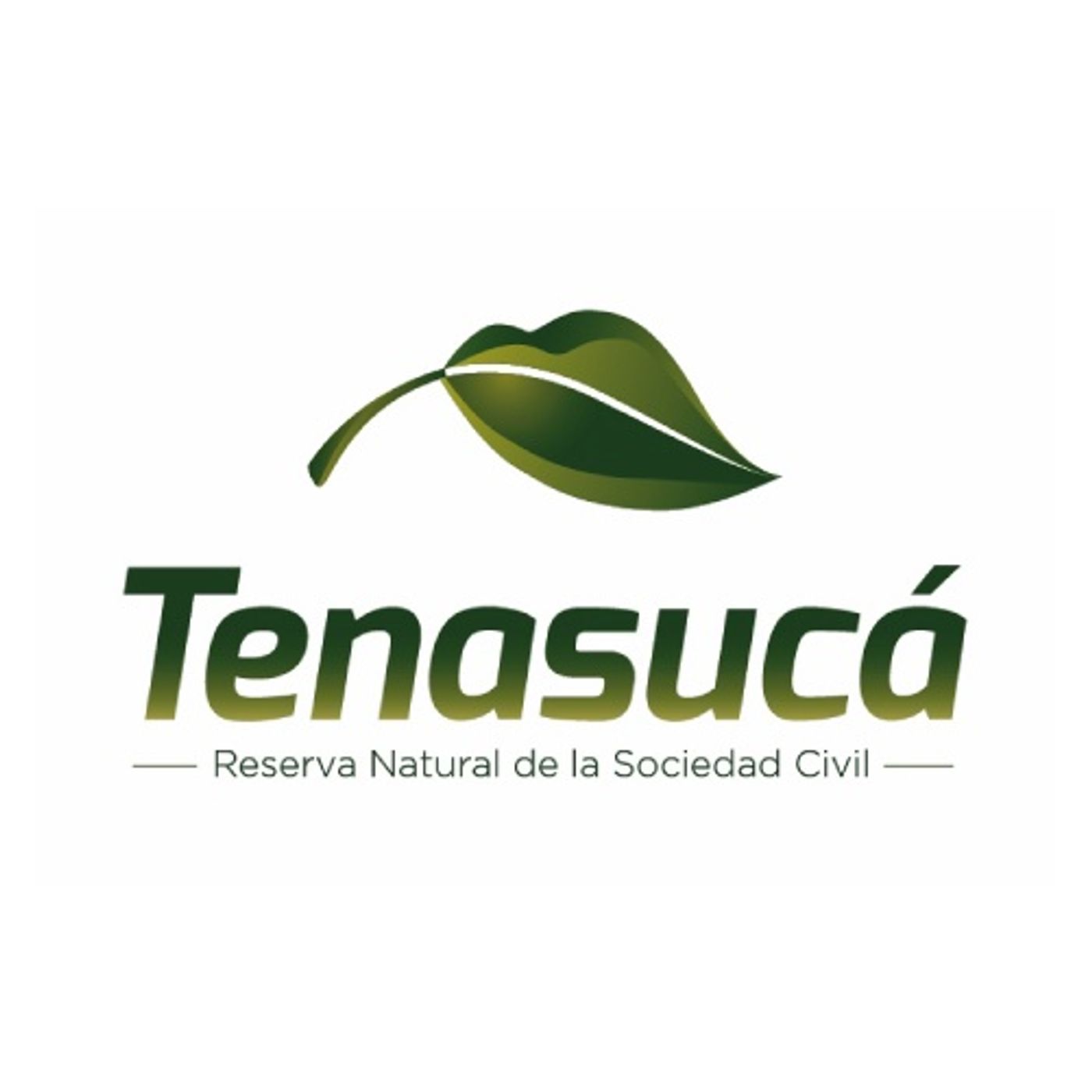 Tenasucá reserva natural, te conecta con la tierra episode artwork