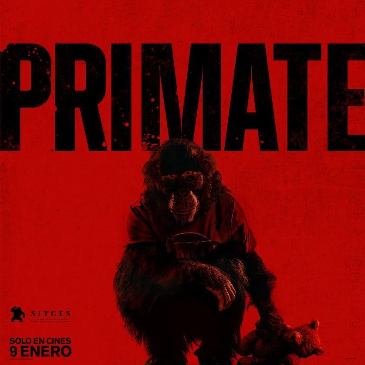 Primate — El Sótano de Radio Belgrado cover
