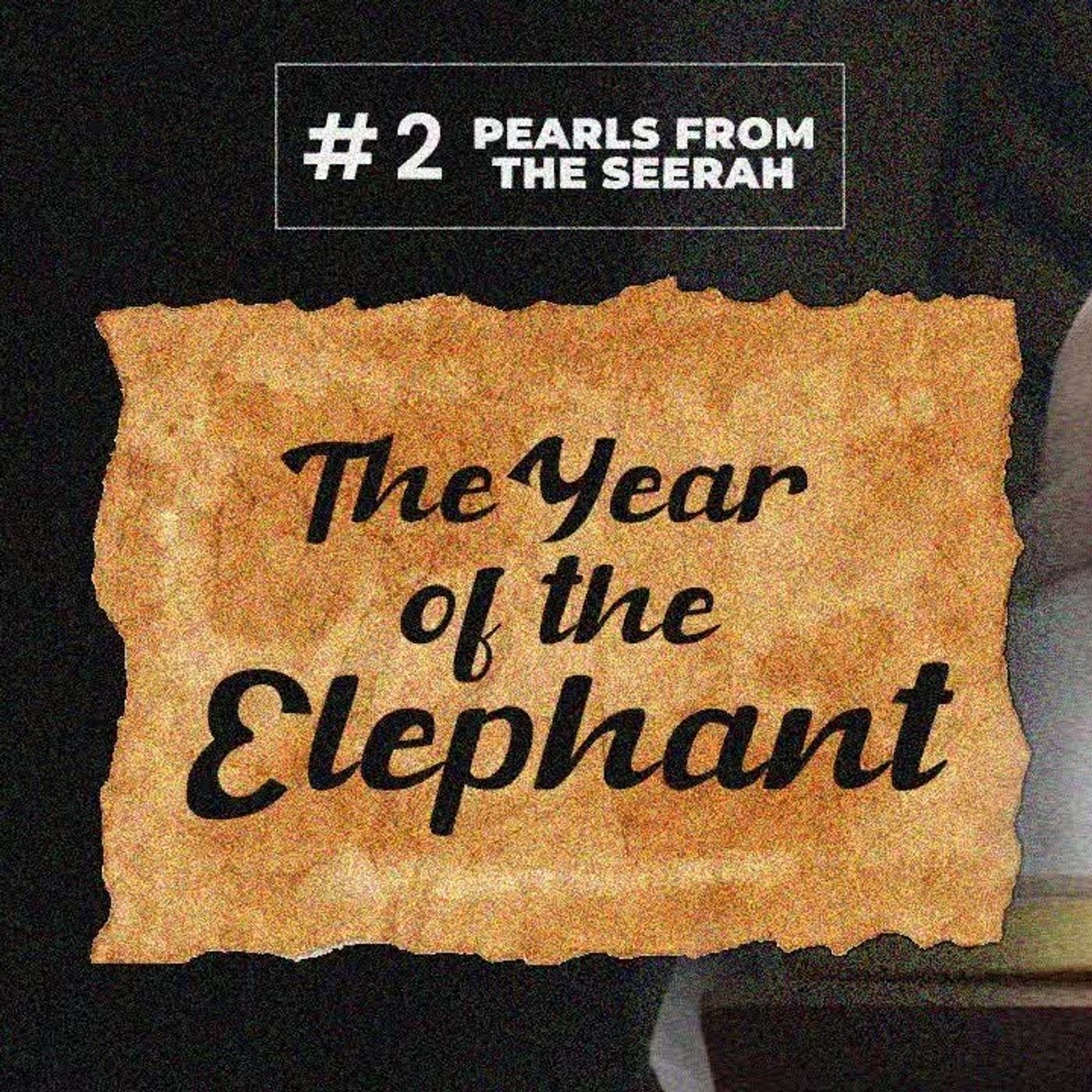 02 - The Year of the Elephant