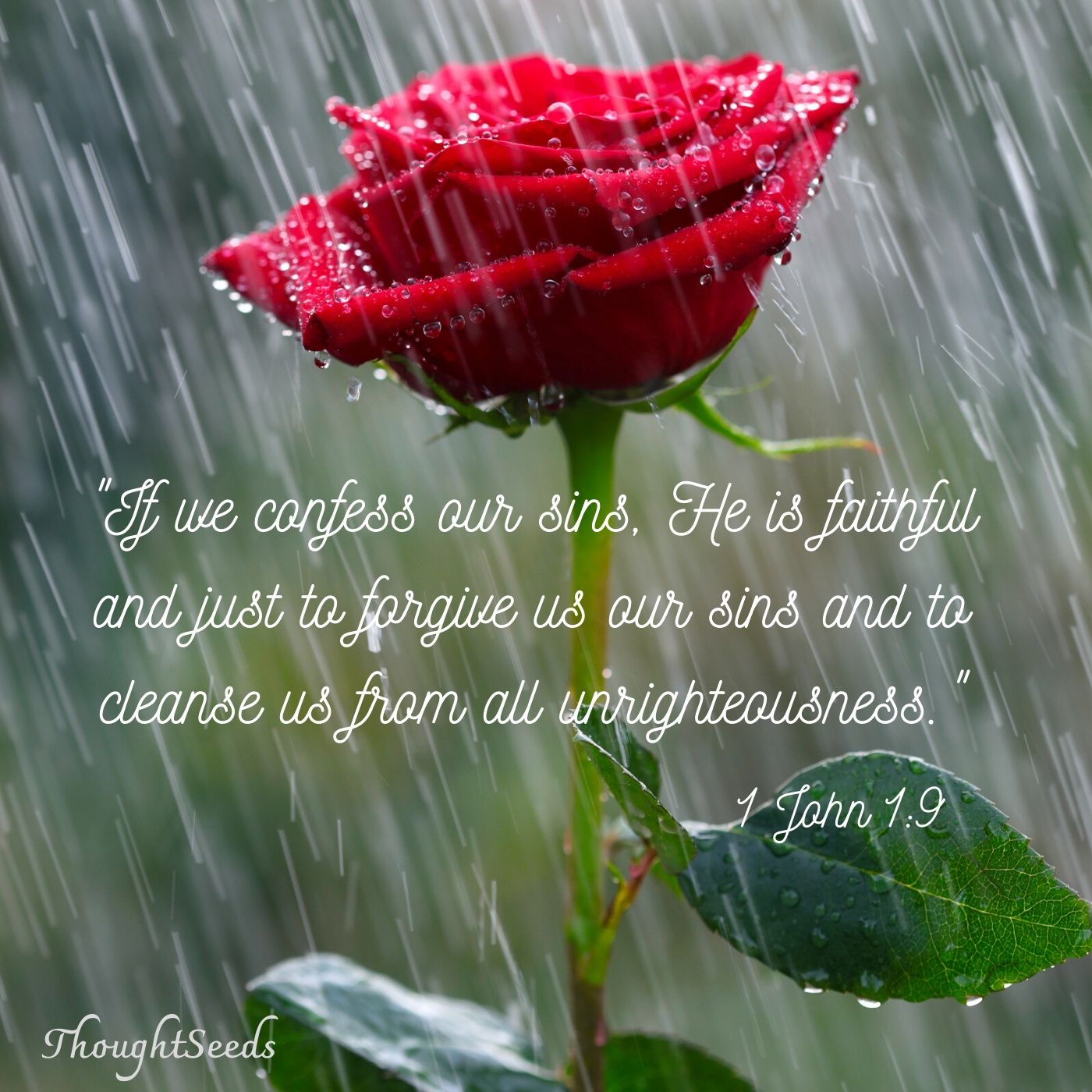 ThoughtSeeds