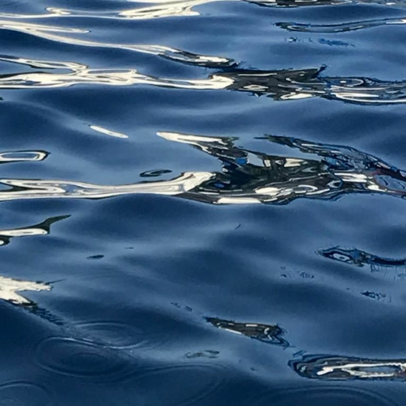 FAVORITOS: El agua que nos rodea