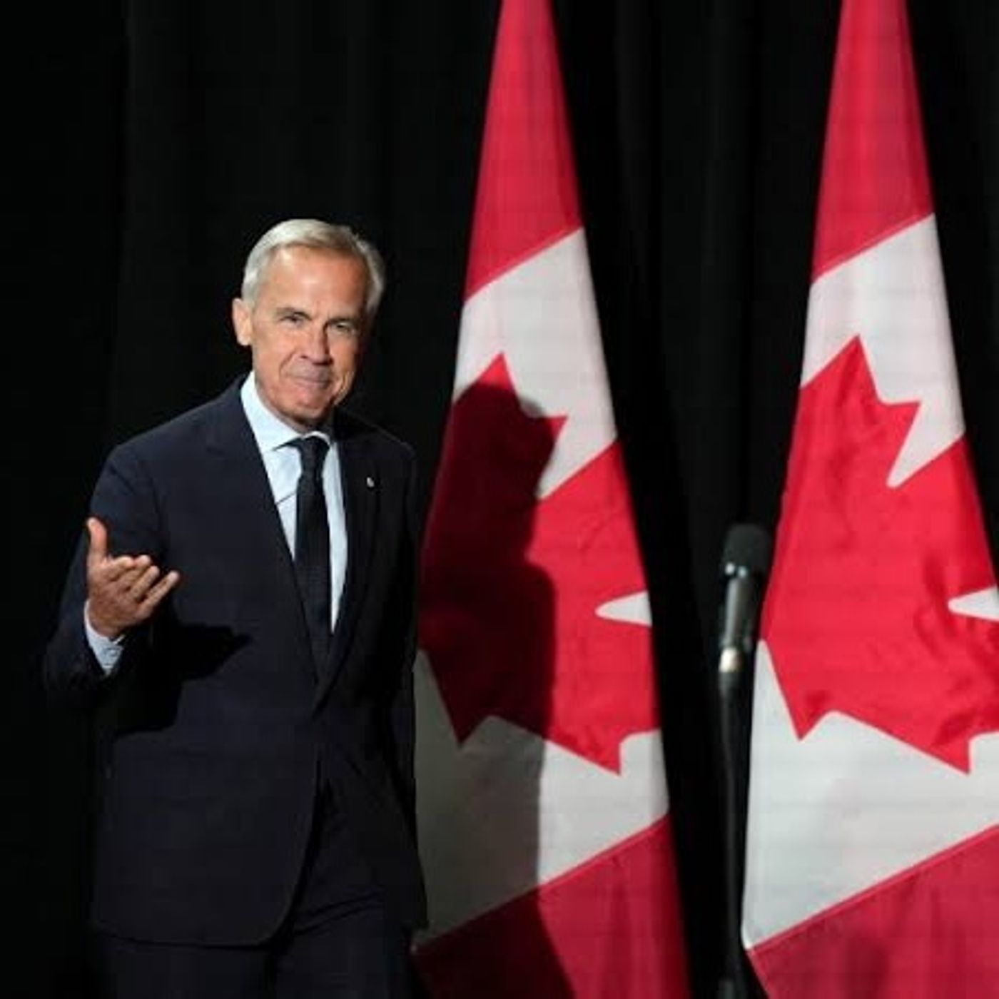 Carney says Canada seeking 'unique alliance' with EU, not membership