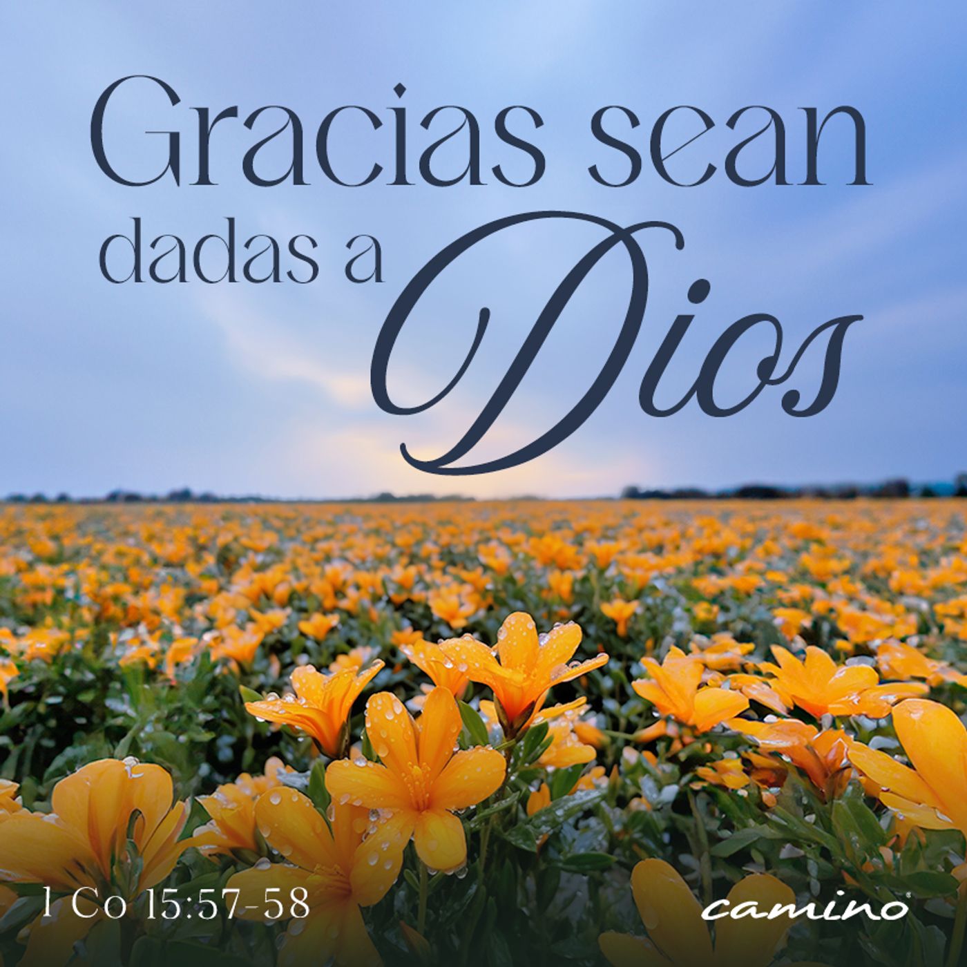 Oración 29 de abril (Gracias sean dadas a Dios) episode artwork
