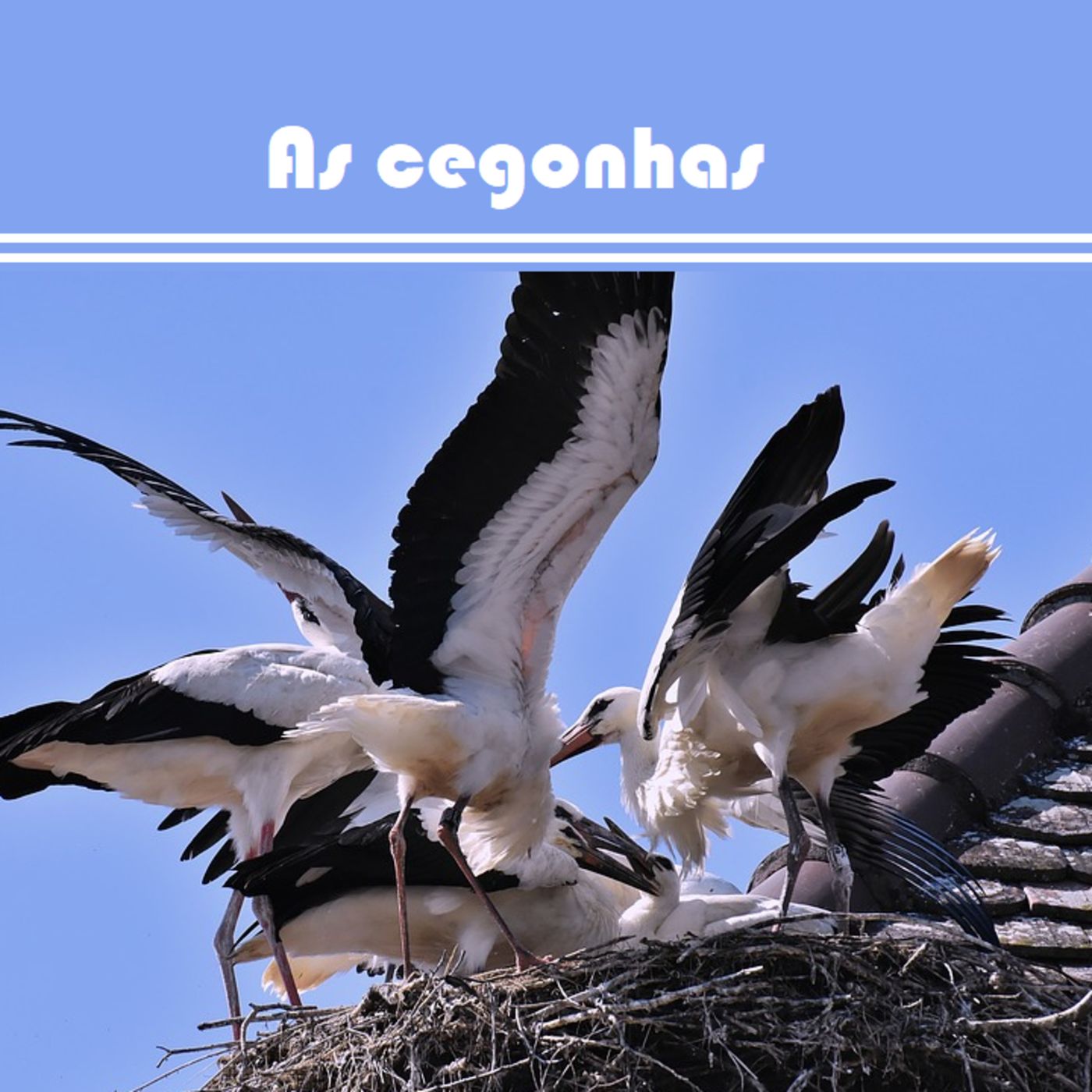 Contos Clássicos