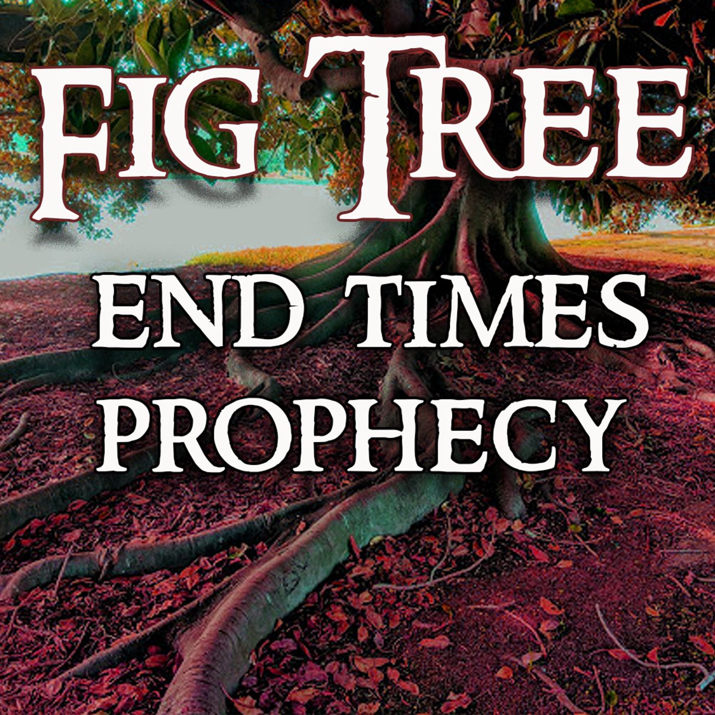 Midnight Ride: The Fig Tree Has Blossomed episode artwork