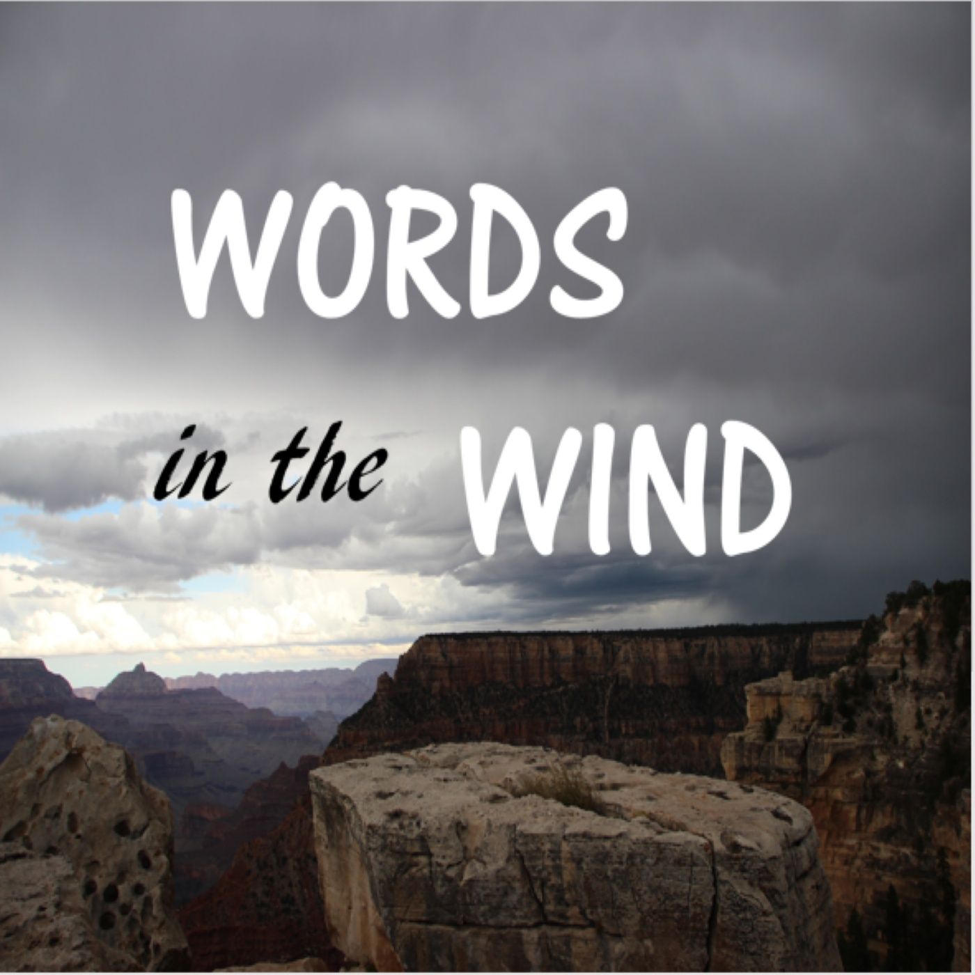 Words in the Wind