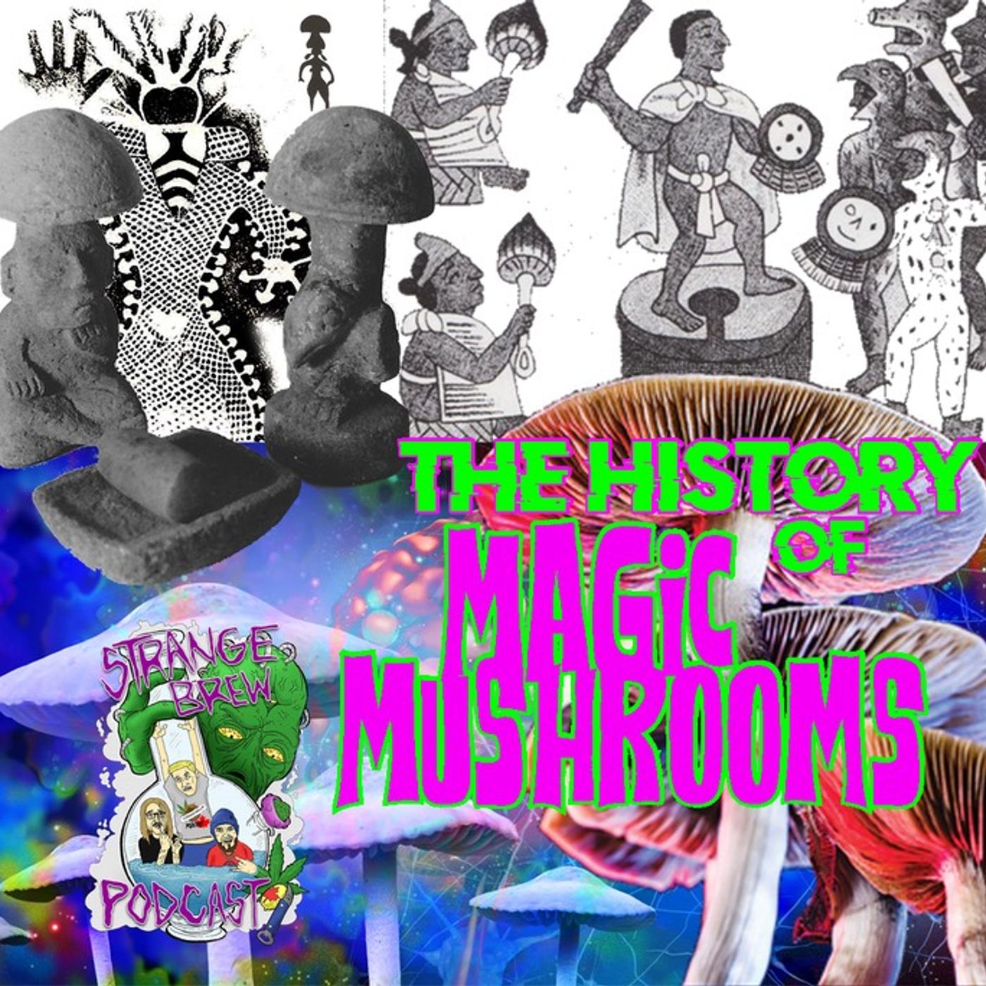 The History of Magic Mushrooms!