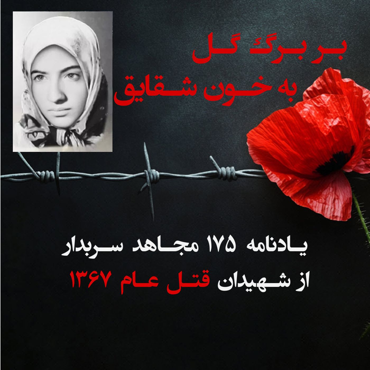 بربرگ گل به  خون شقایق- جسومه حیدری