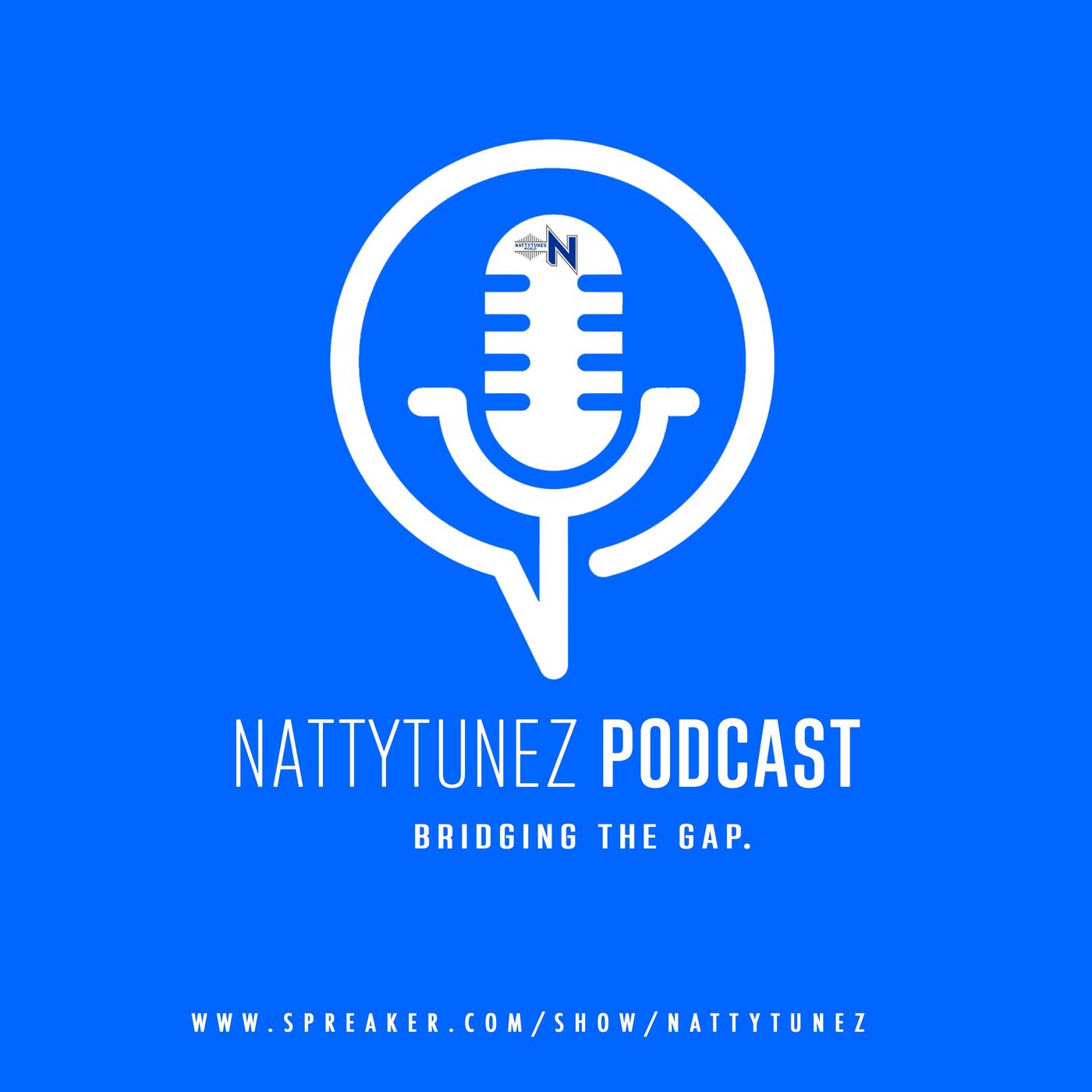Nattytunez Podcast cover art