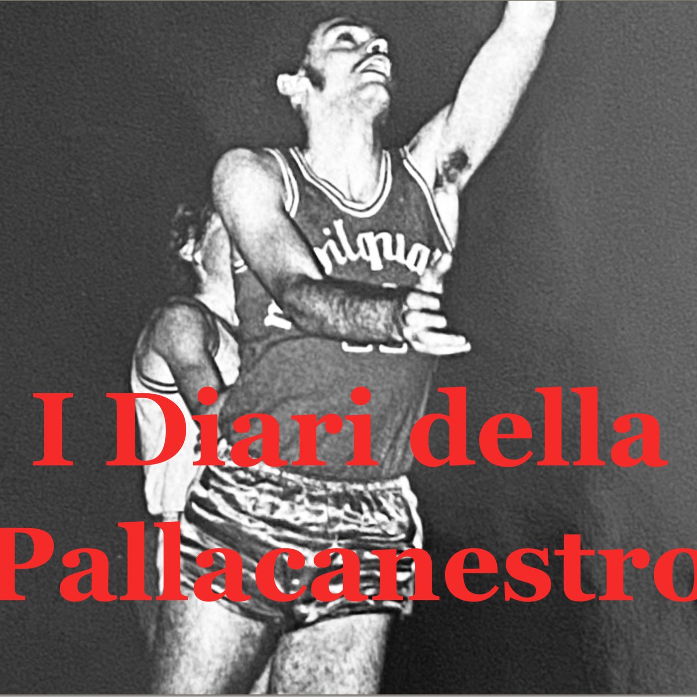 I DIARI DELLA PALLACANESTRO - Parte Prima