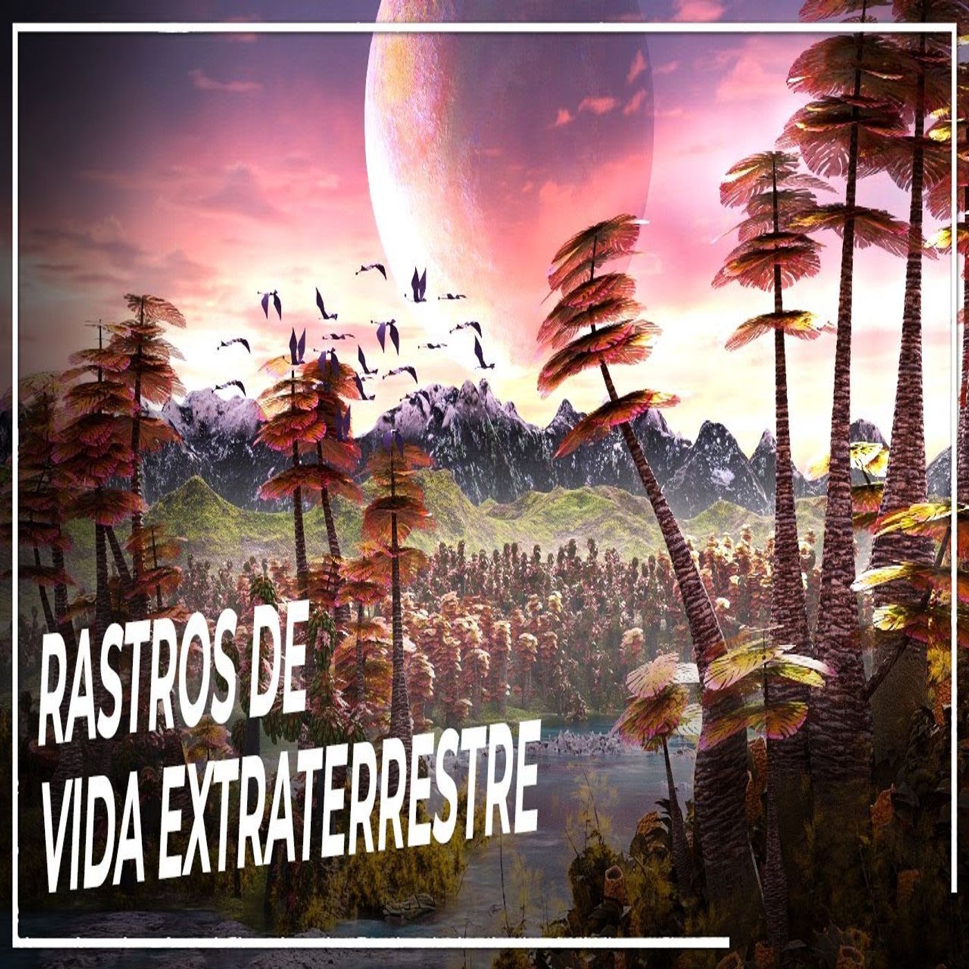 Jodisea Mundo Odiseas Documentales Podcast para dormir en Español Audio Libros Historia Niños+Adulto