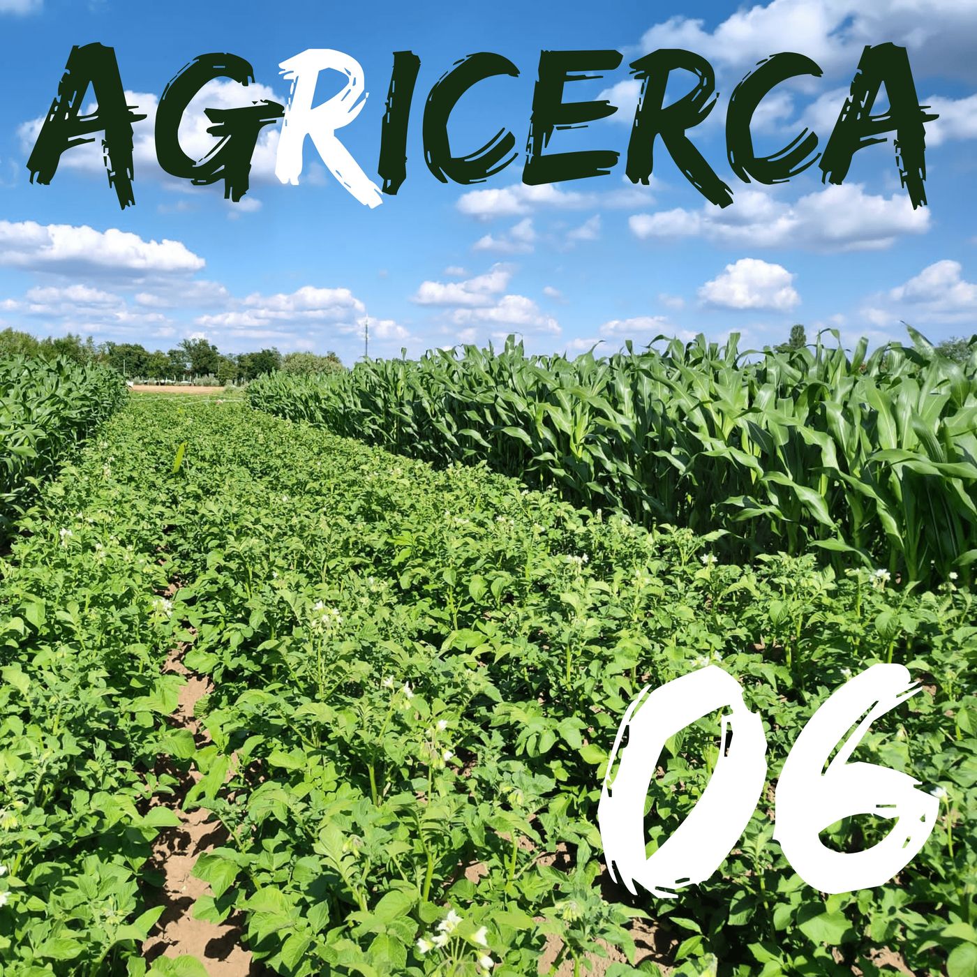 agRicerca