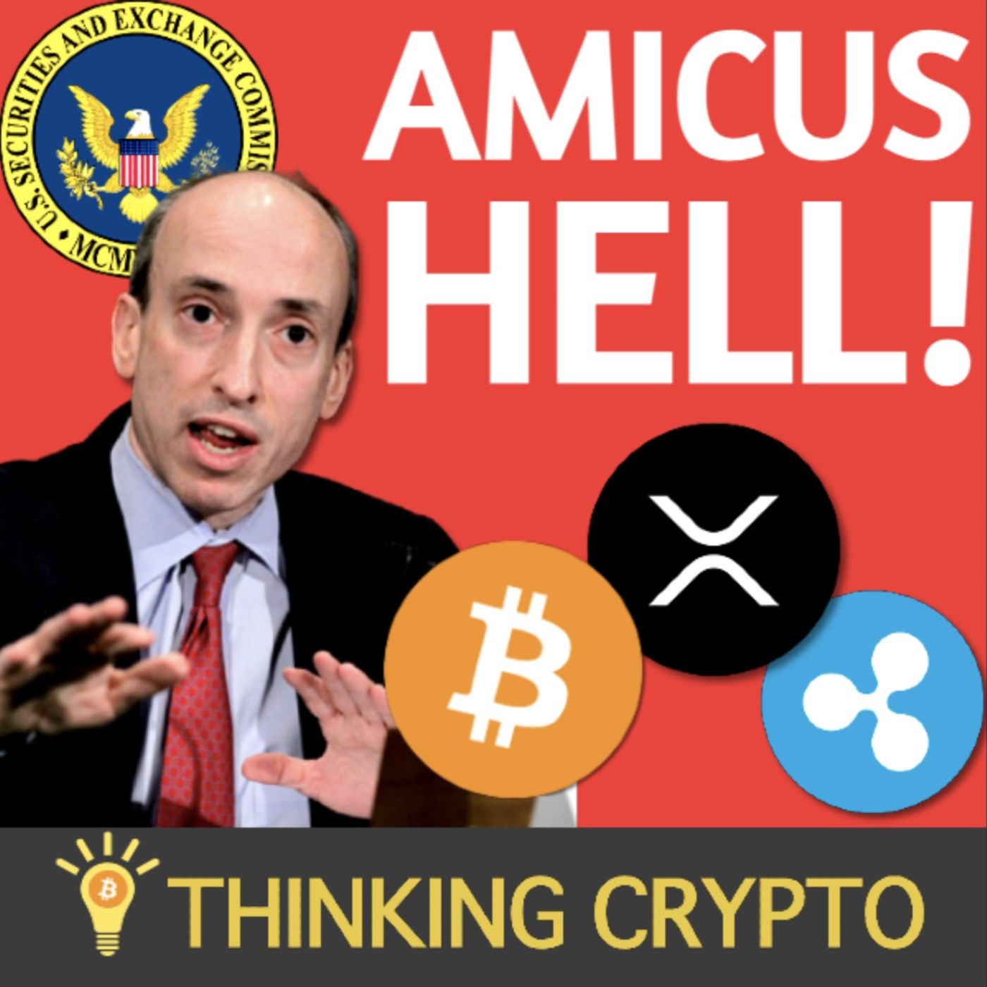 🚨RIPPLE XRP & GRAYSCALE BITCOIN SPOT ETF AMICUS BRIEFS RAIN DOWN ON SEC & GARY GENSLER