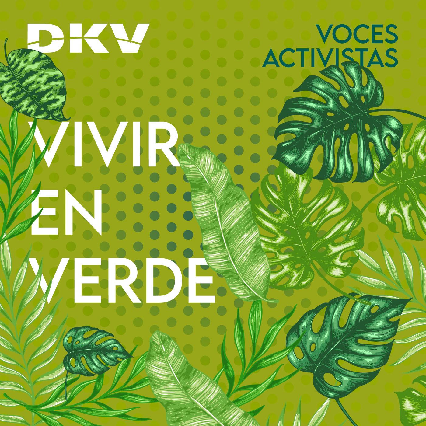 Voces Activistas