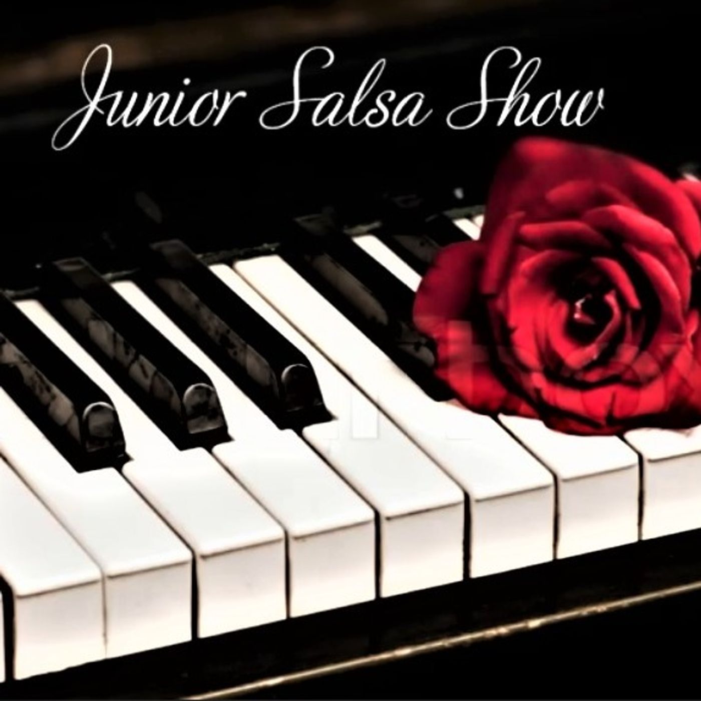 junior salsa show