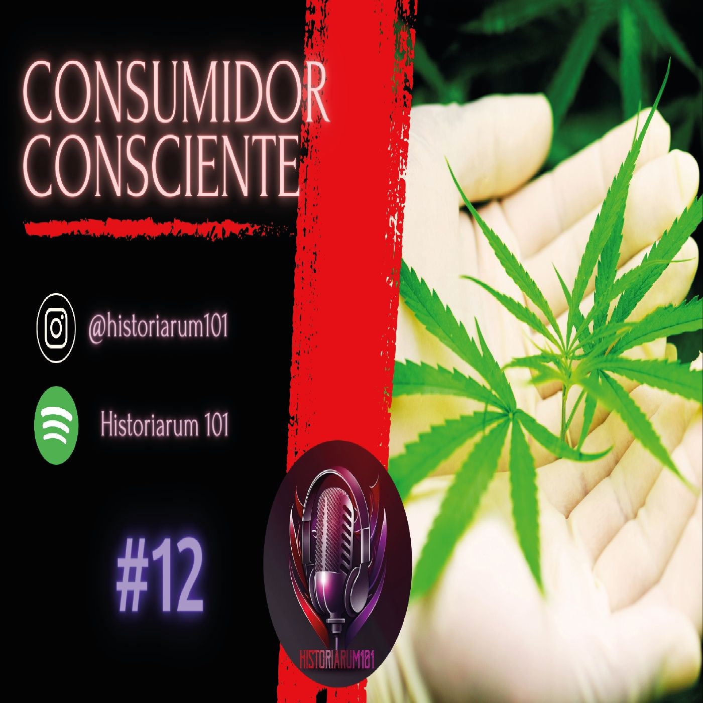 Capítulo 12 | Consumidor consciente. Capítulo 12 | Consumidor consciente.