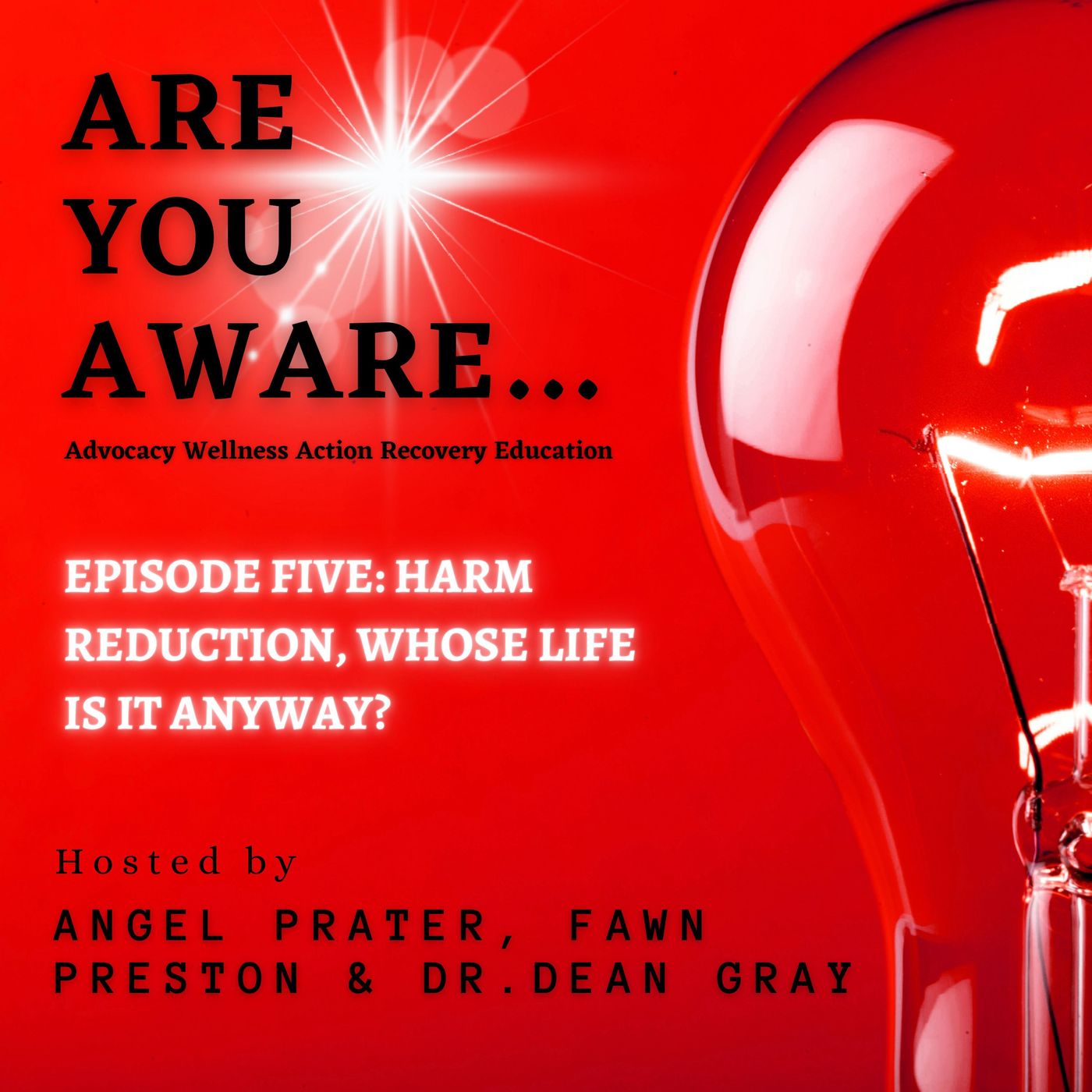 Are You AWARE...Episode #5: Harm Reduction, Whose Life Is It Anyway? episode artwork