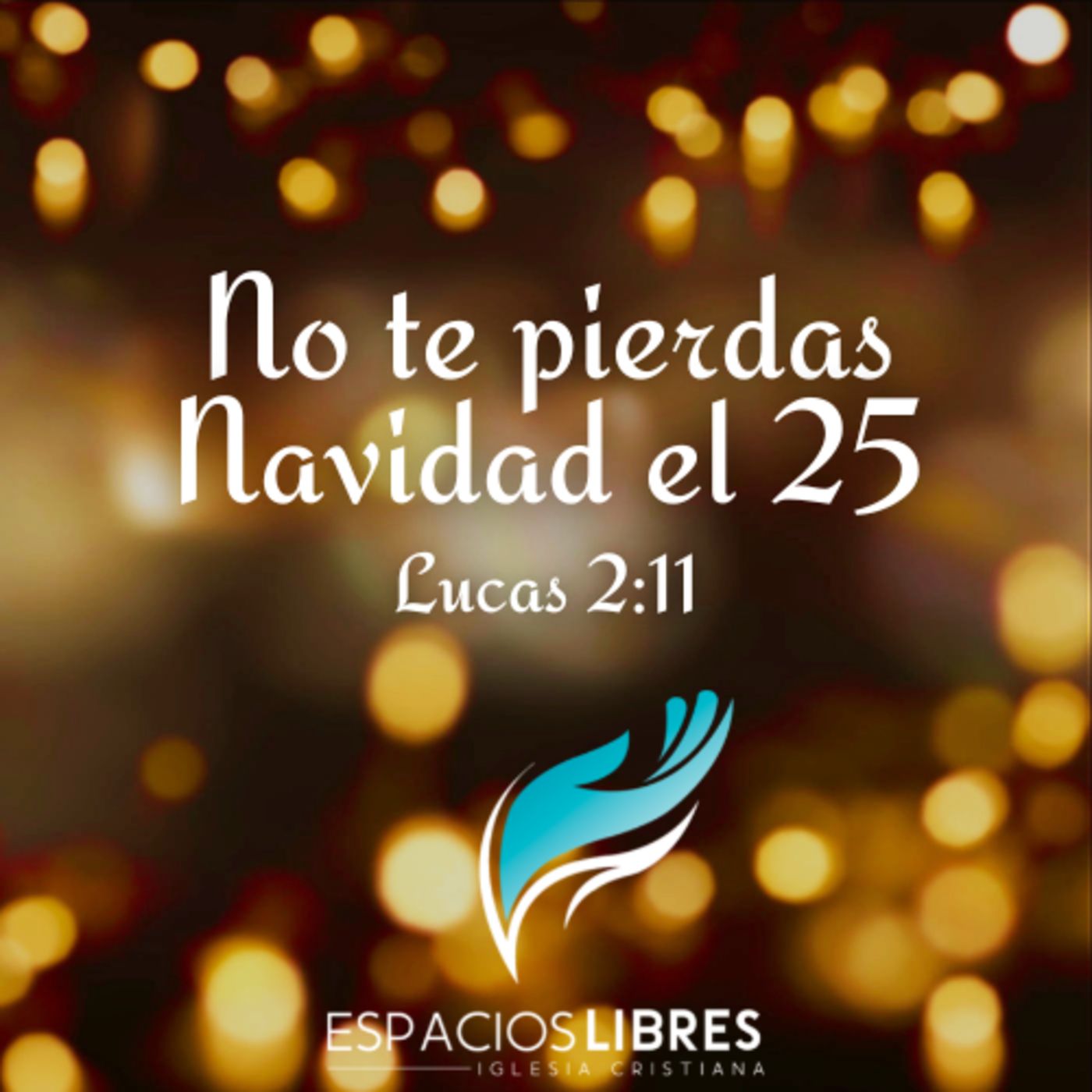 IGLESIA CRISTIANA ESPACIOS LIBRES