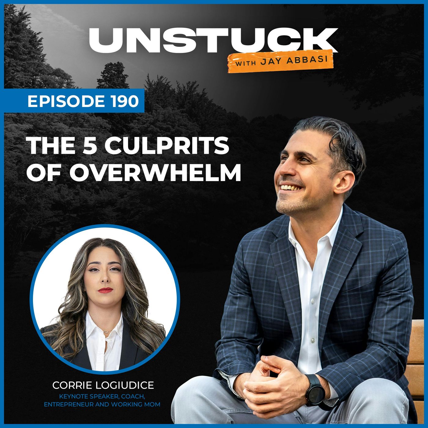 190: The 5 Culprits of Overwhelm episode artwork